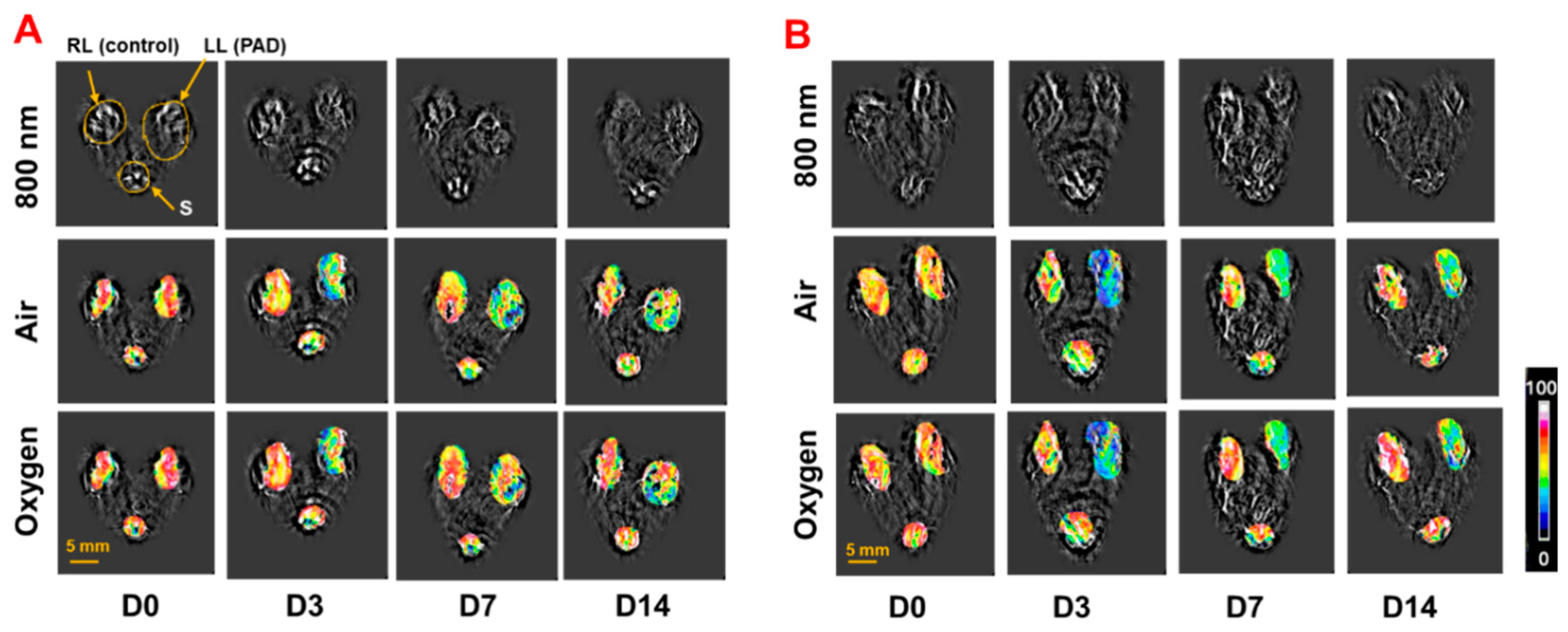 Preprints 206270 g001 Preprints 206270 g001
