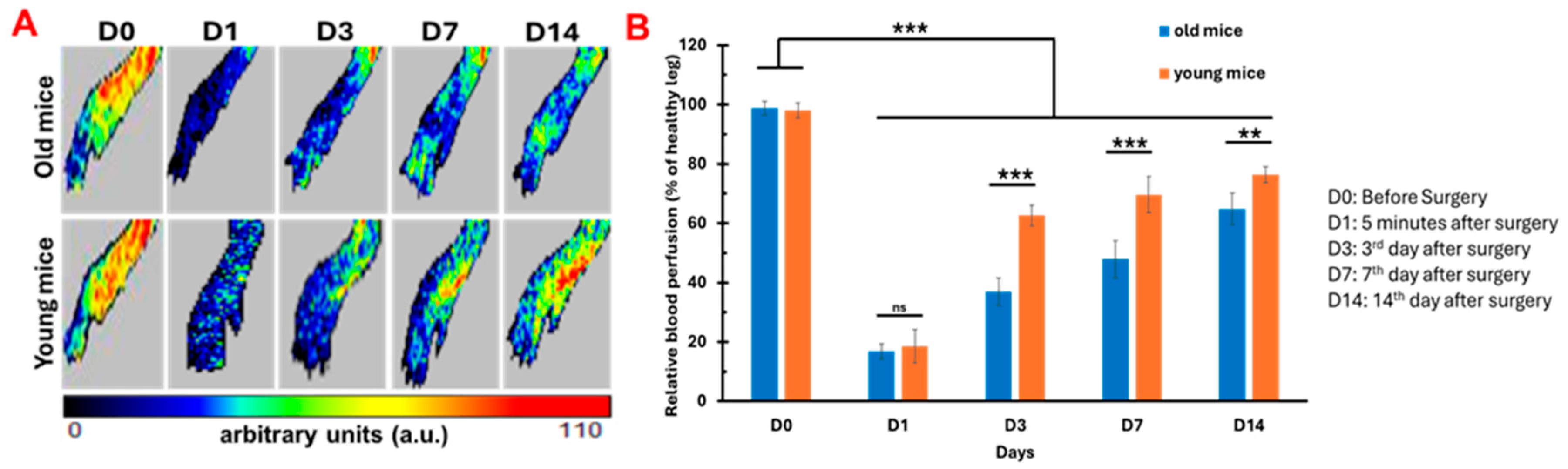 Preprints 206270 g006 Preprints 206270 g006