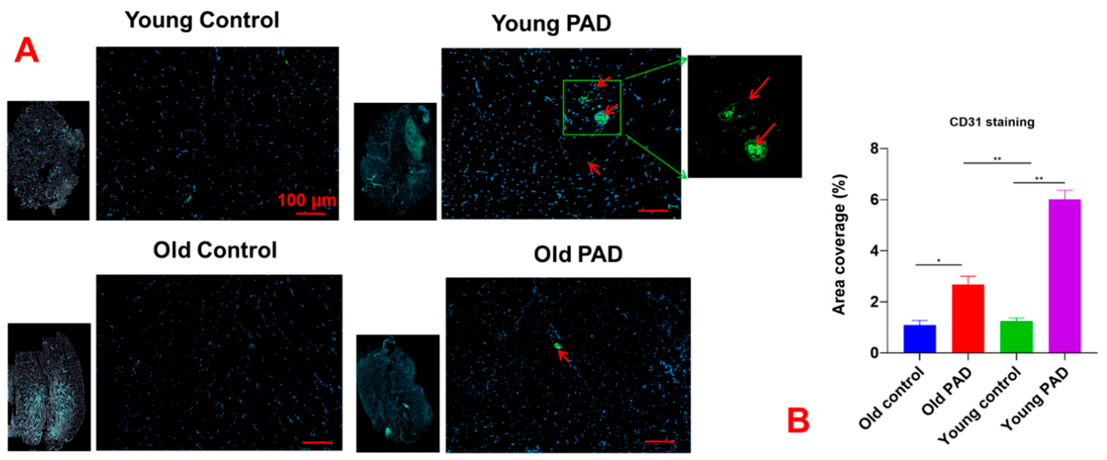 Preprints 206270 g009 Preprints 206270 g009