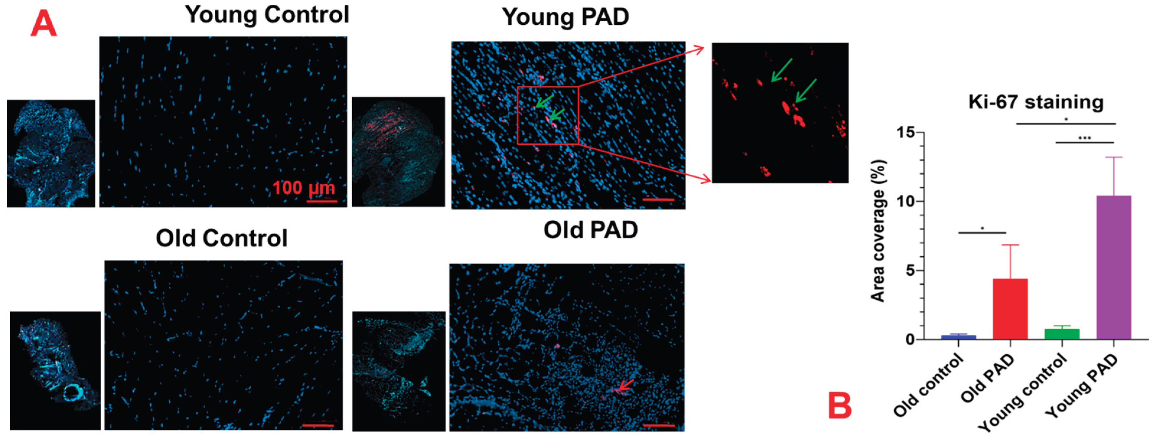 Preprints 206270 g010 Preprints 206270 g010