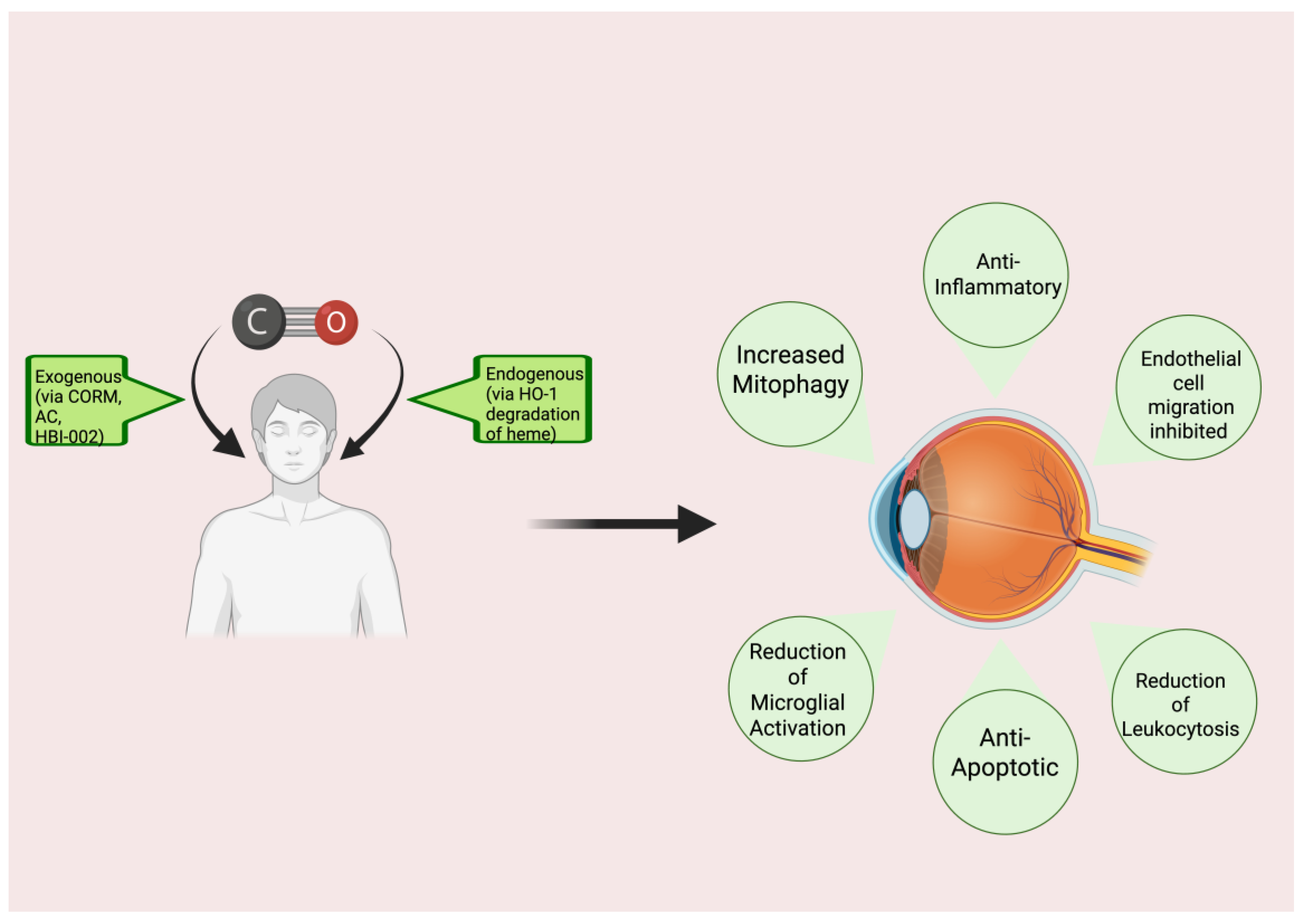 Preprints 191756 g001