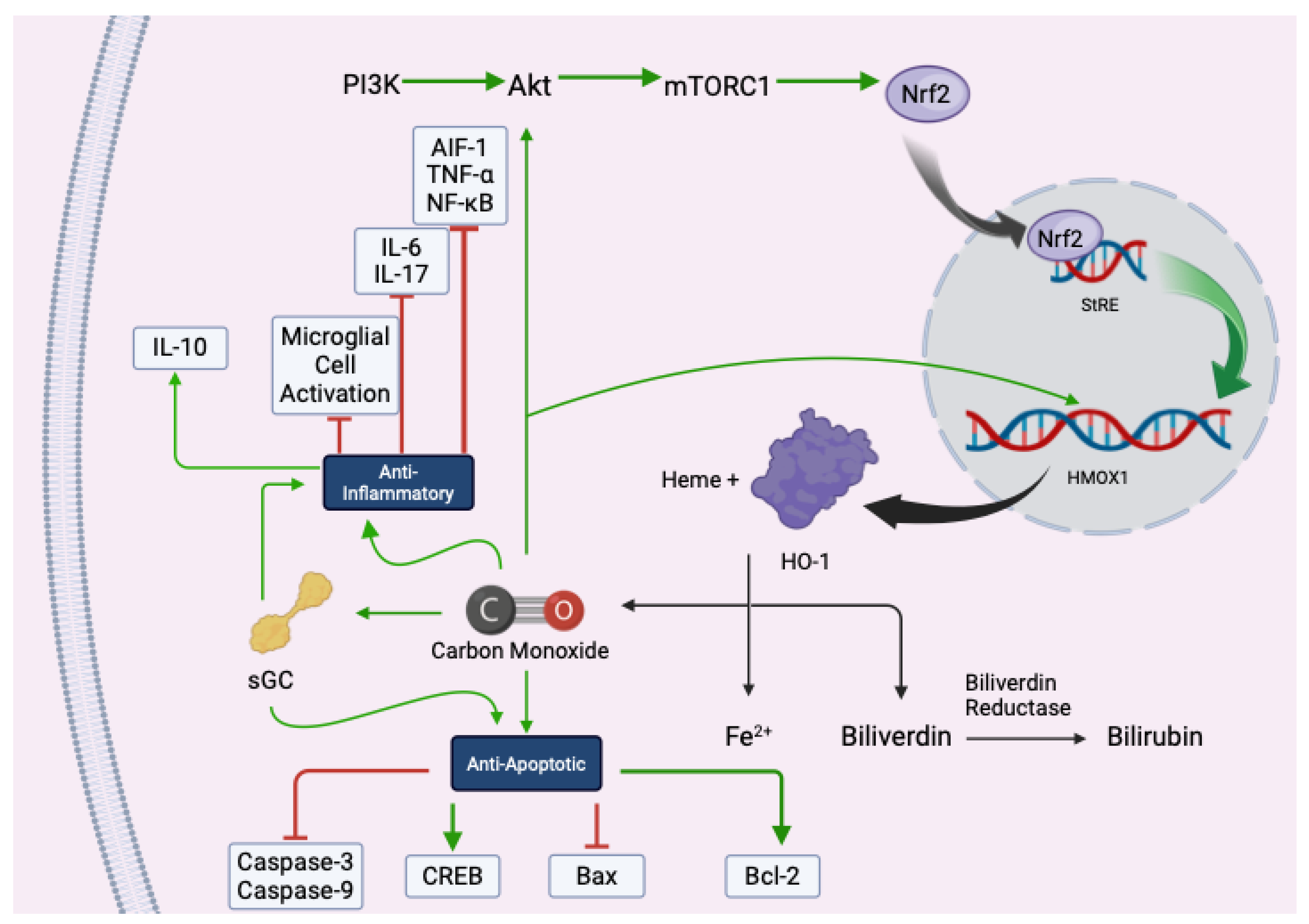 Preprints 191756 g002