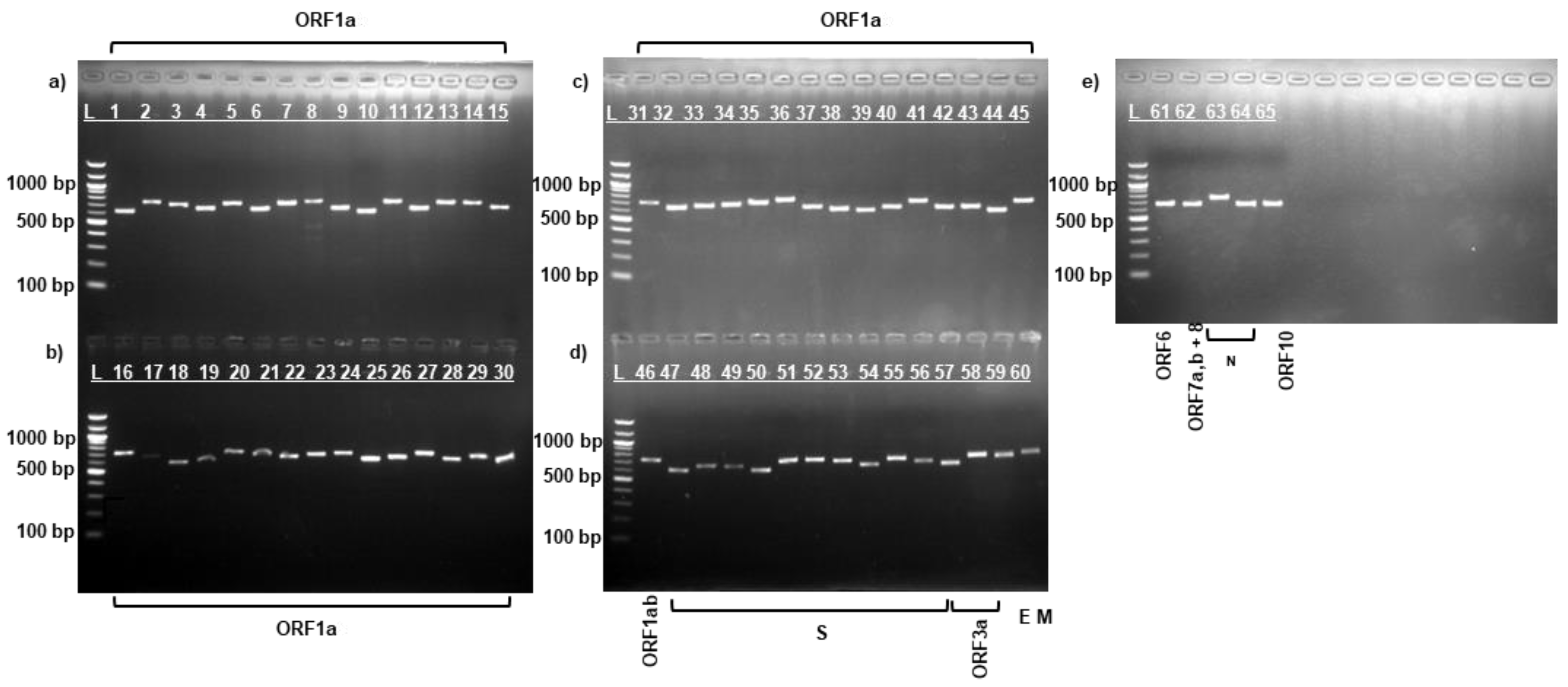 Preprints 149639 g001