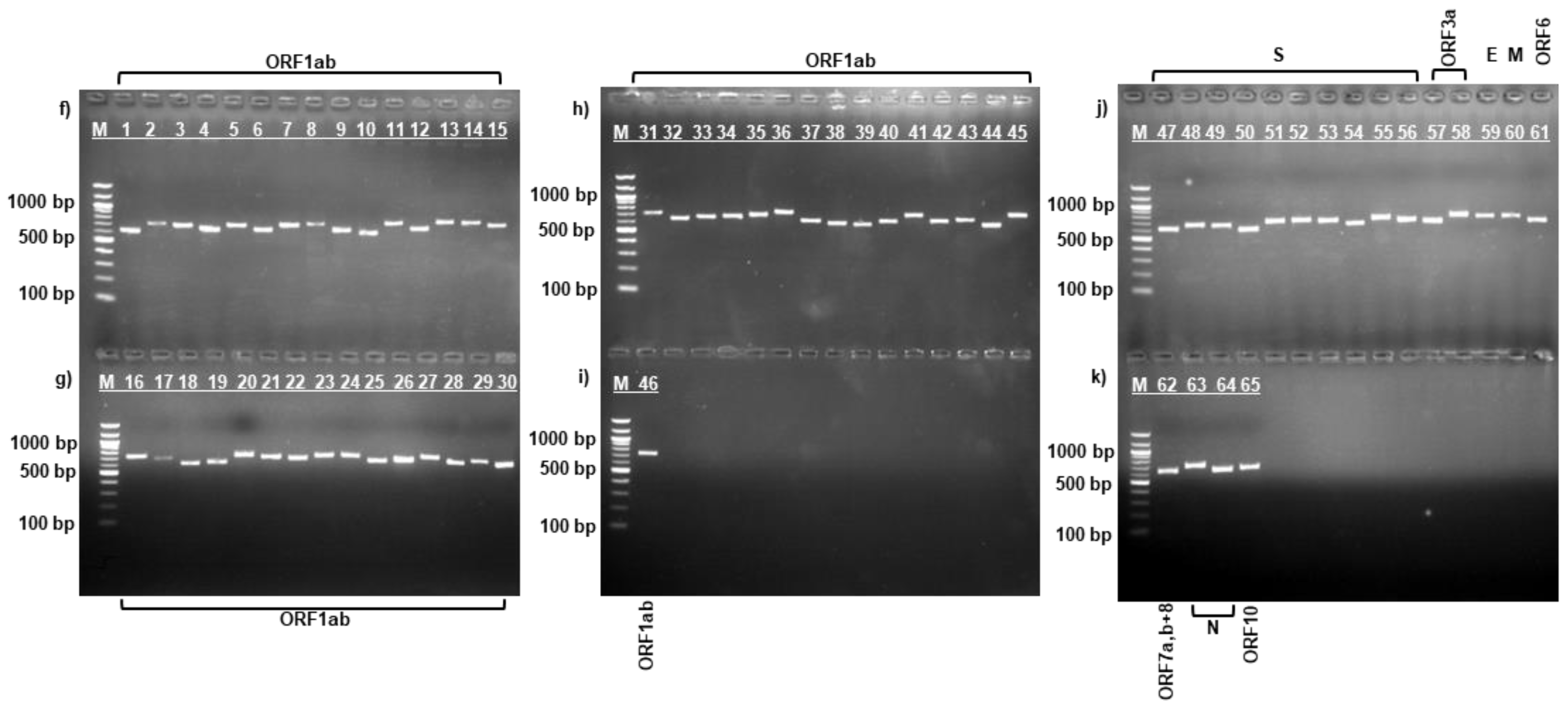 Preprints 149639 g002