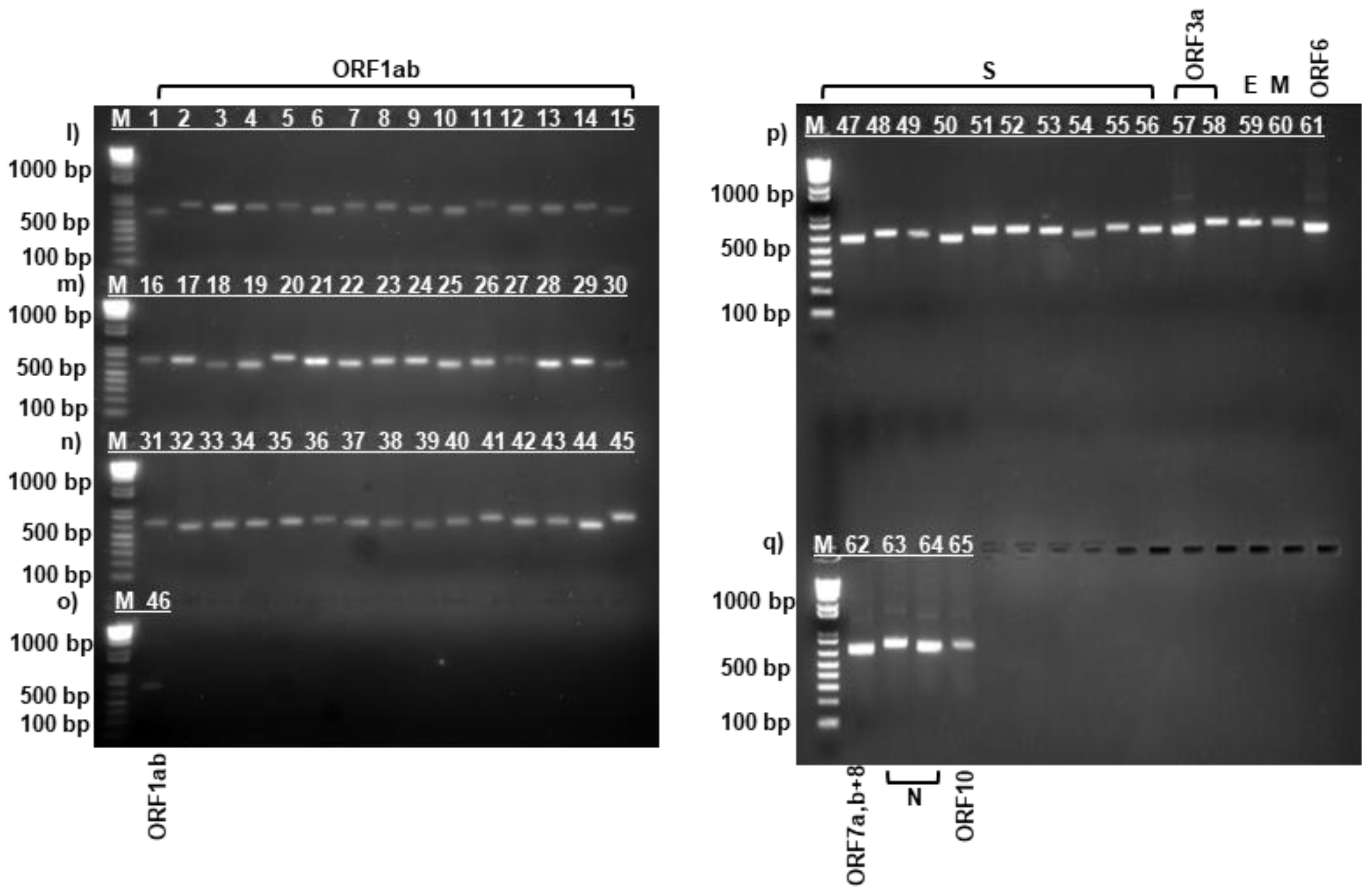 Preprints 149639 g003