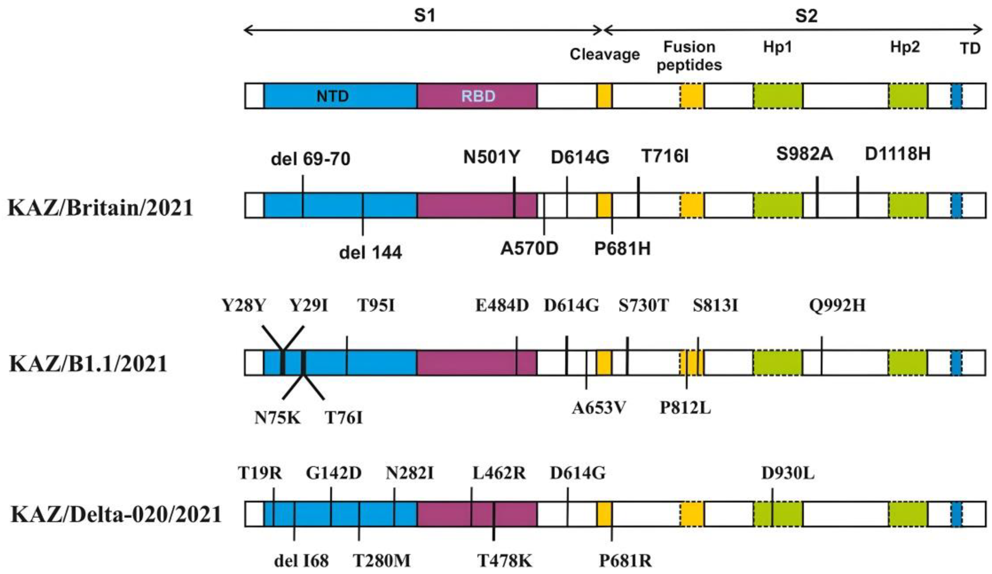 Preprints 149639 g004
