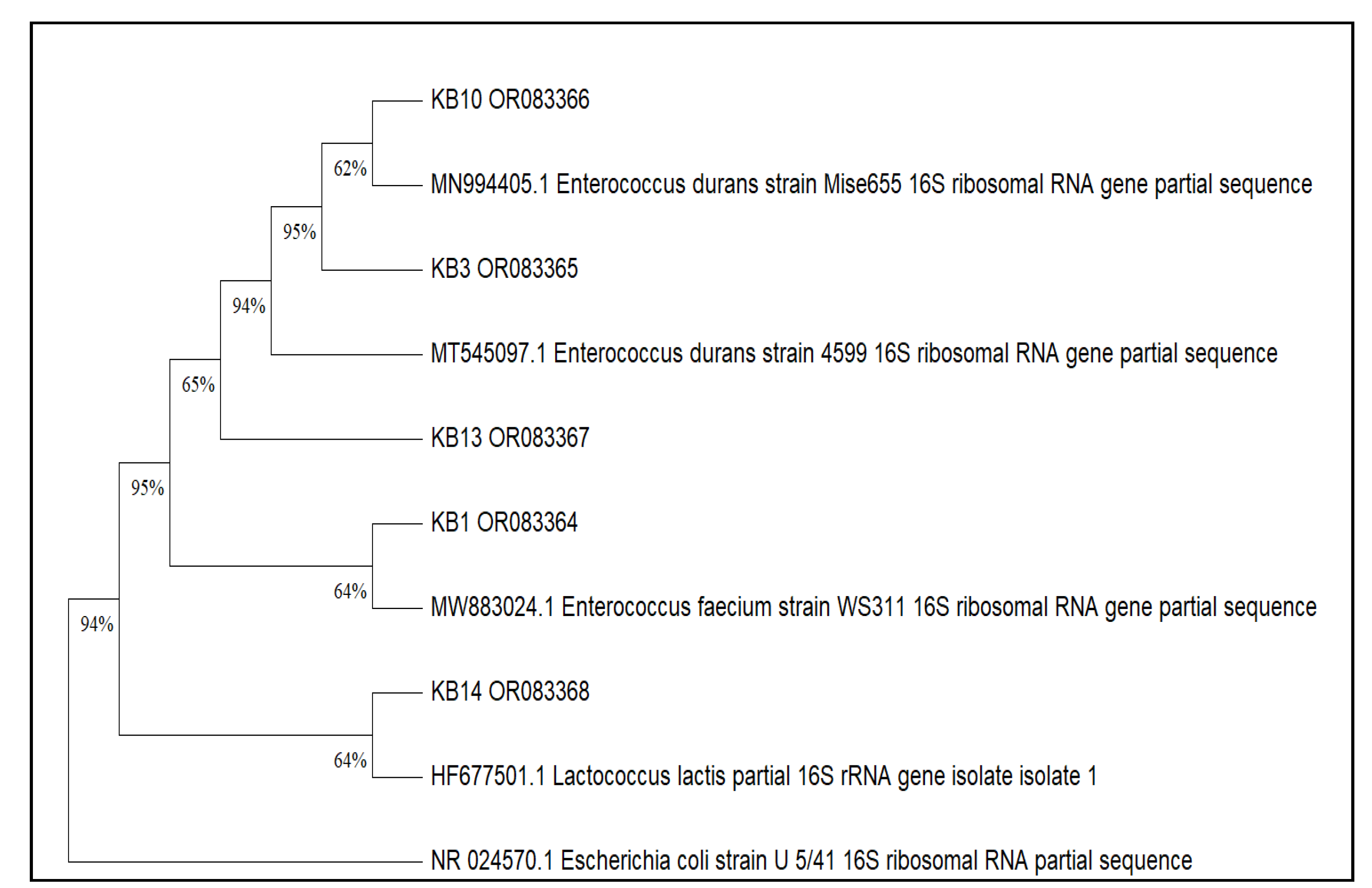 Preprints 182648 g001