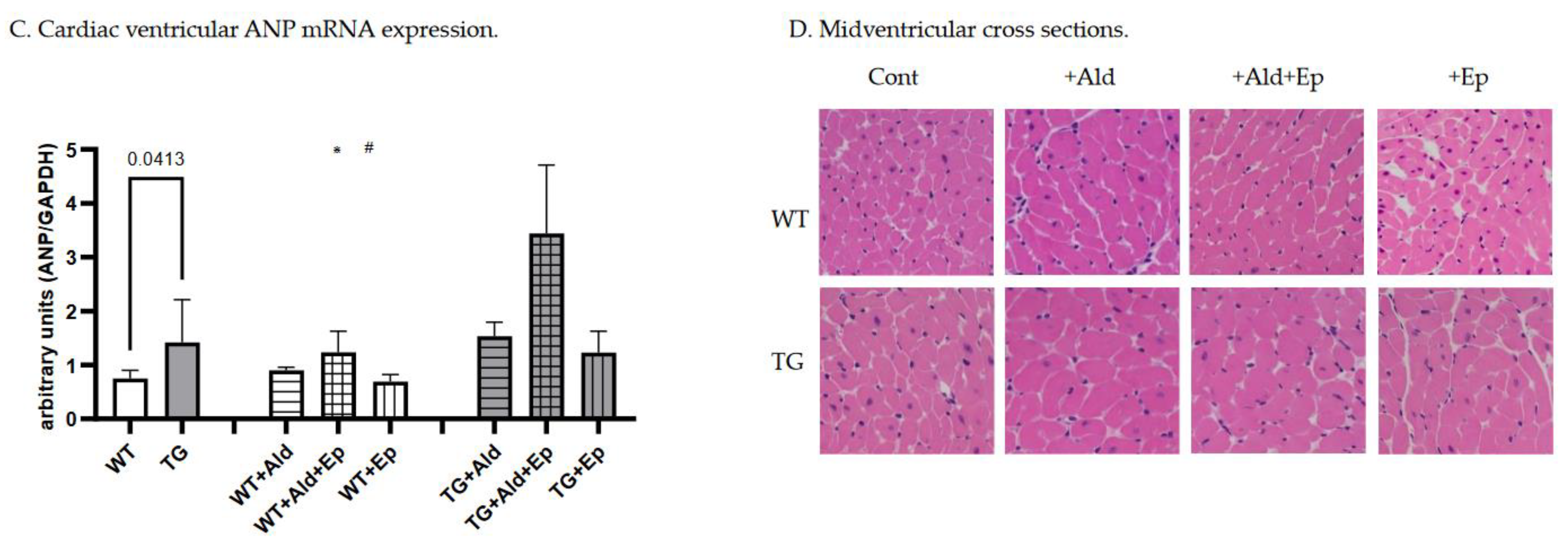Preprints 78086 g002b