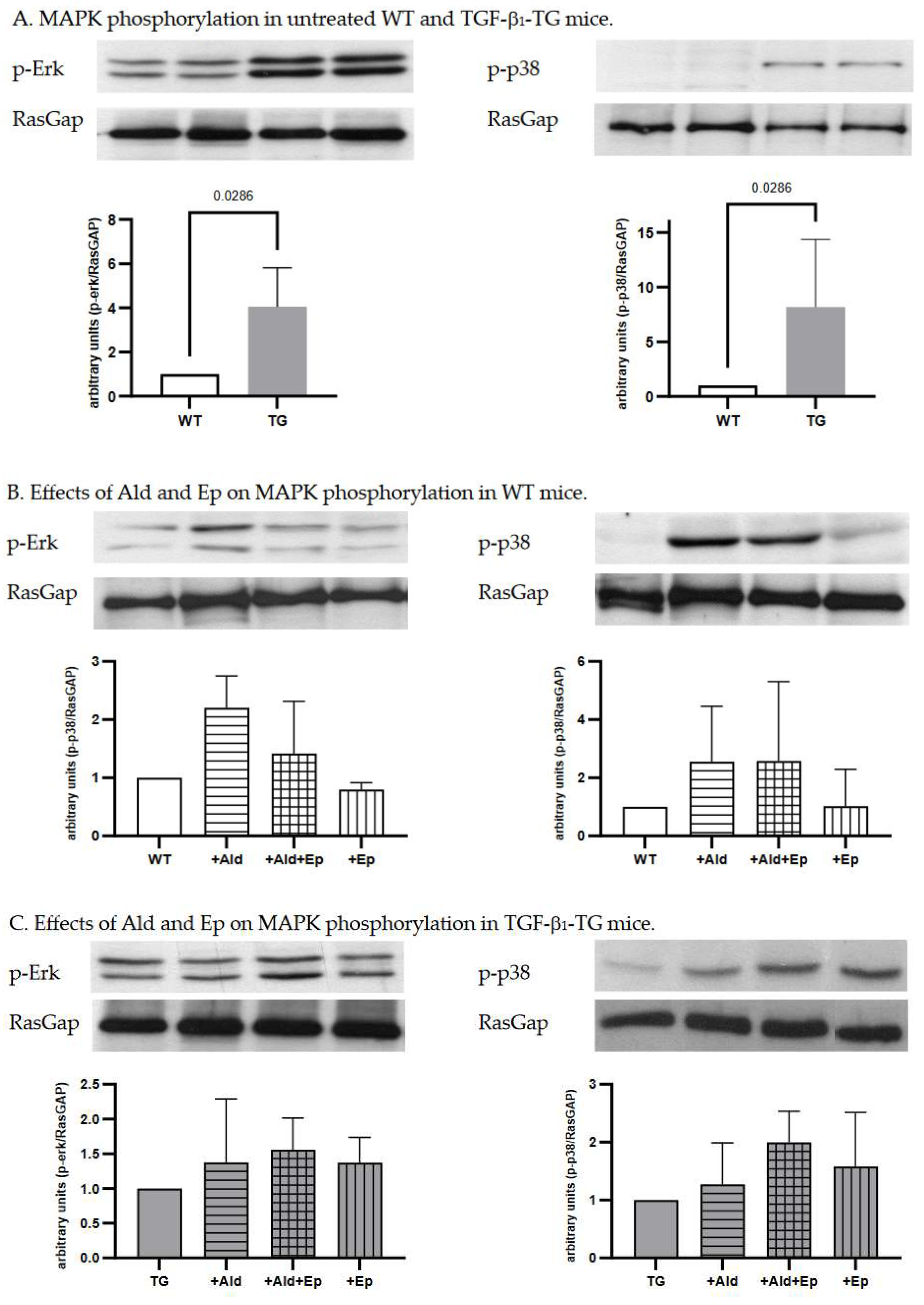 Preprints 78086 g004