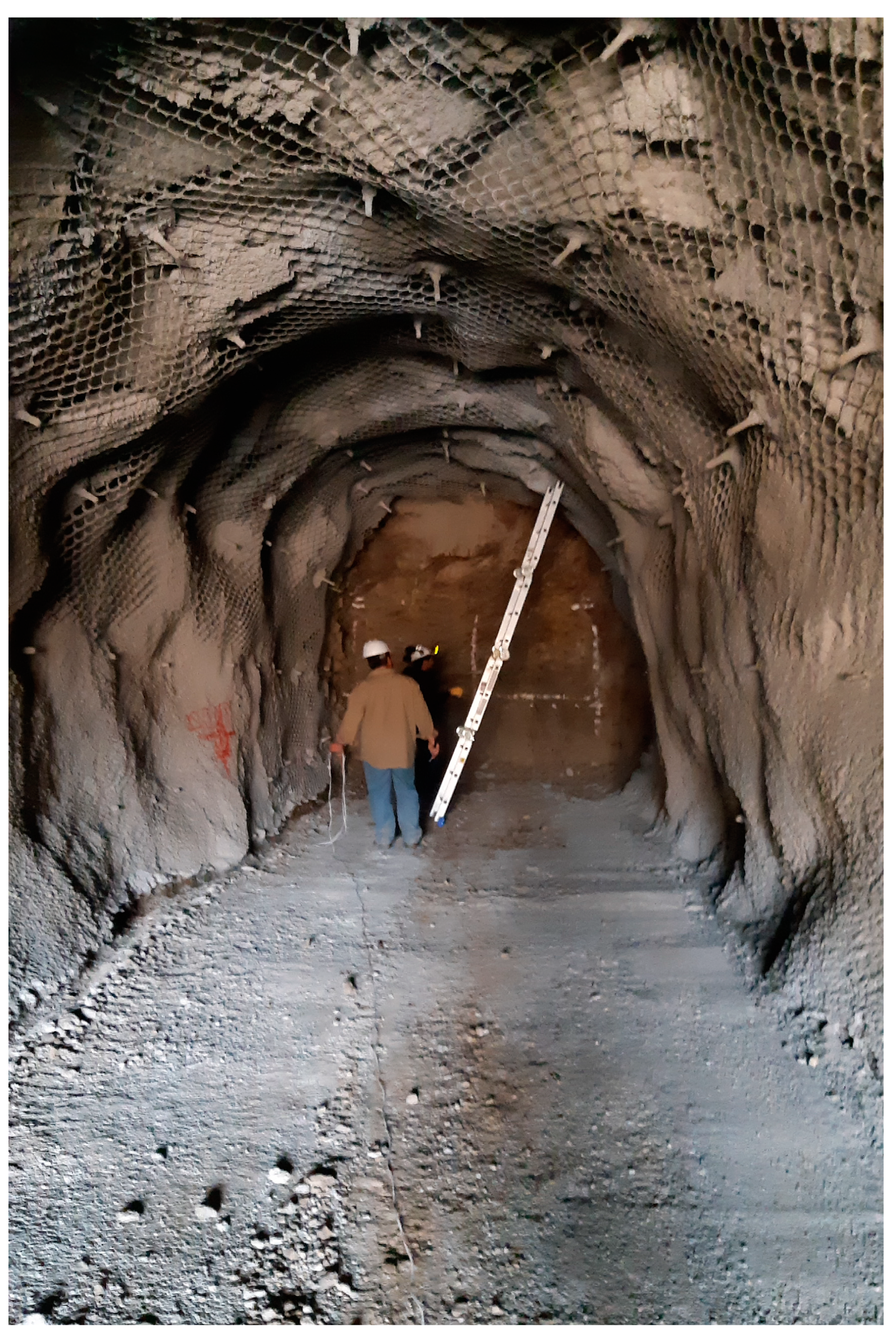 Preprints 143283 g004