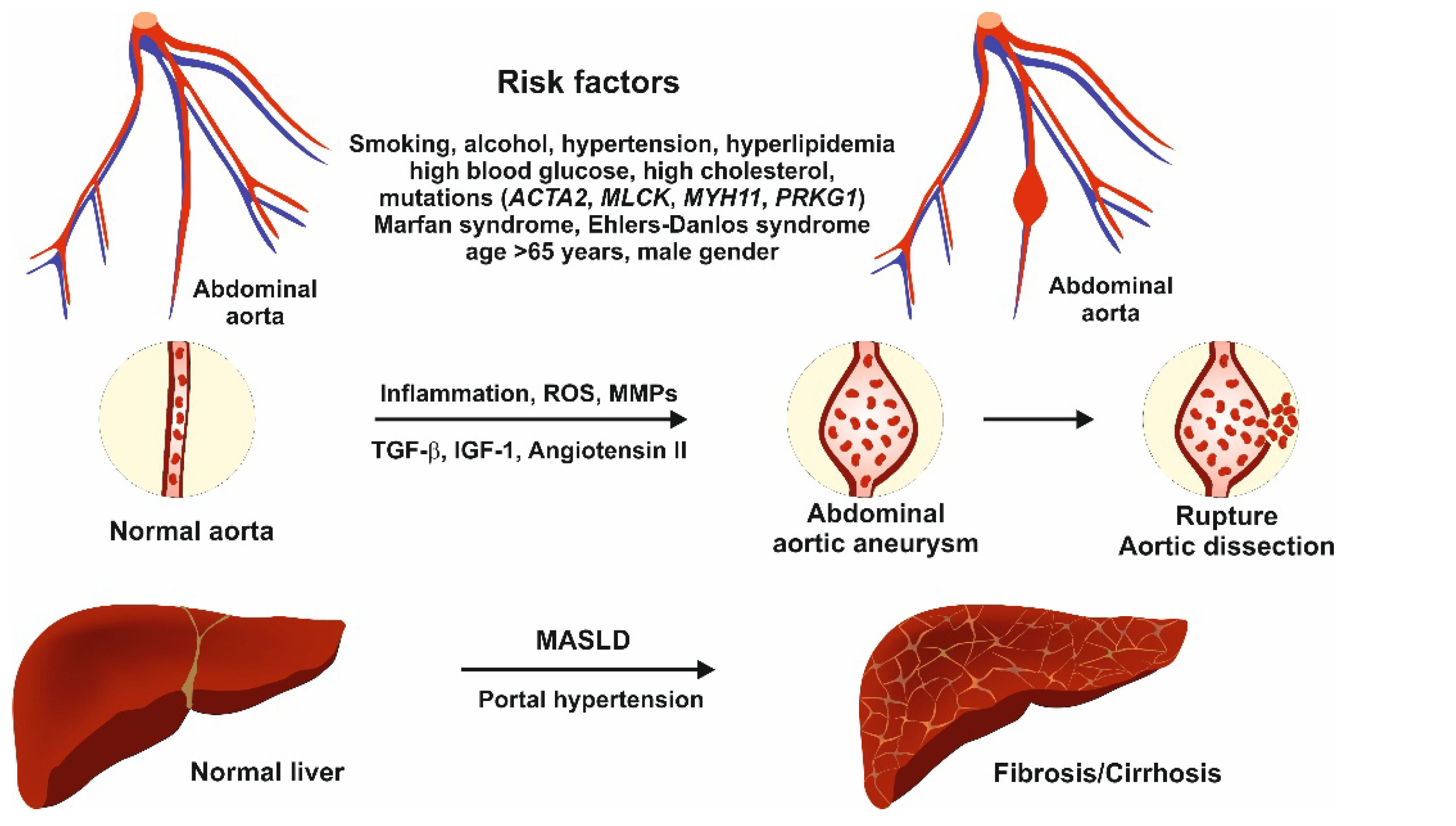 Preprints 151874 g002