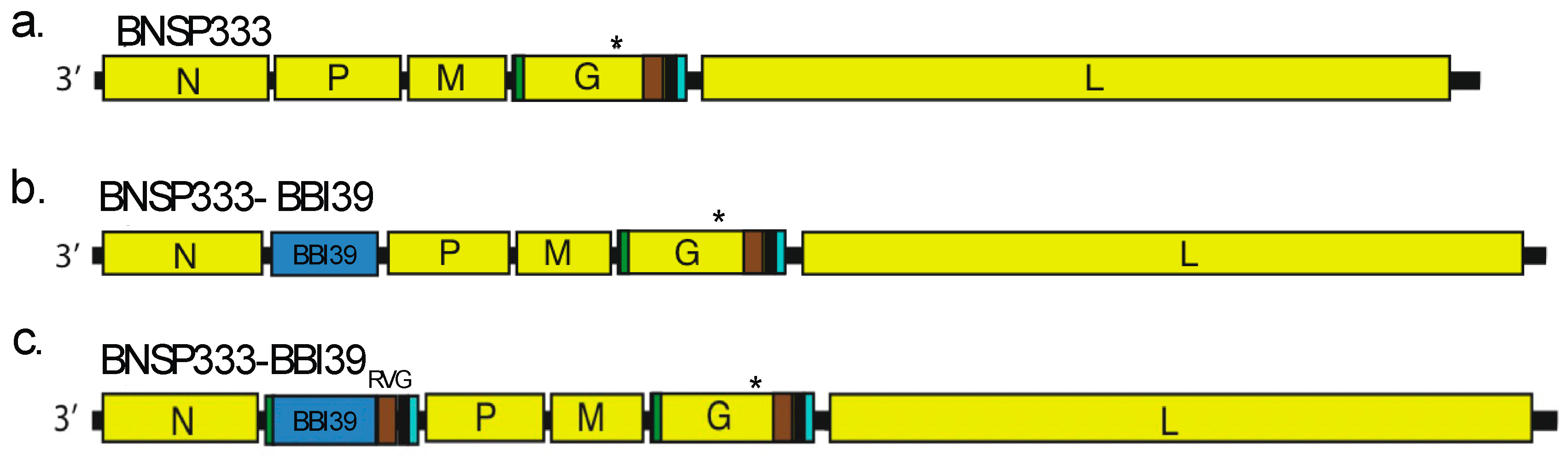 Preprints 91837 g001