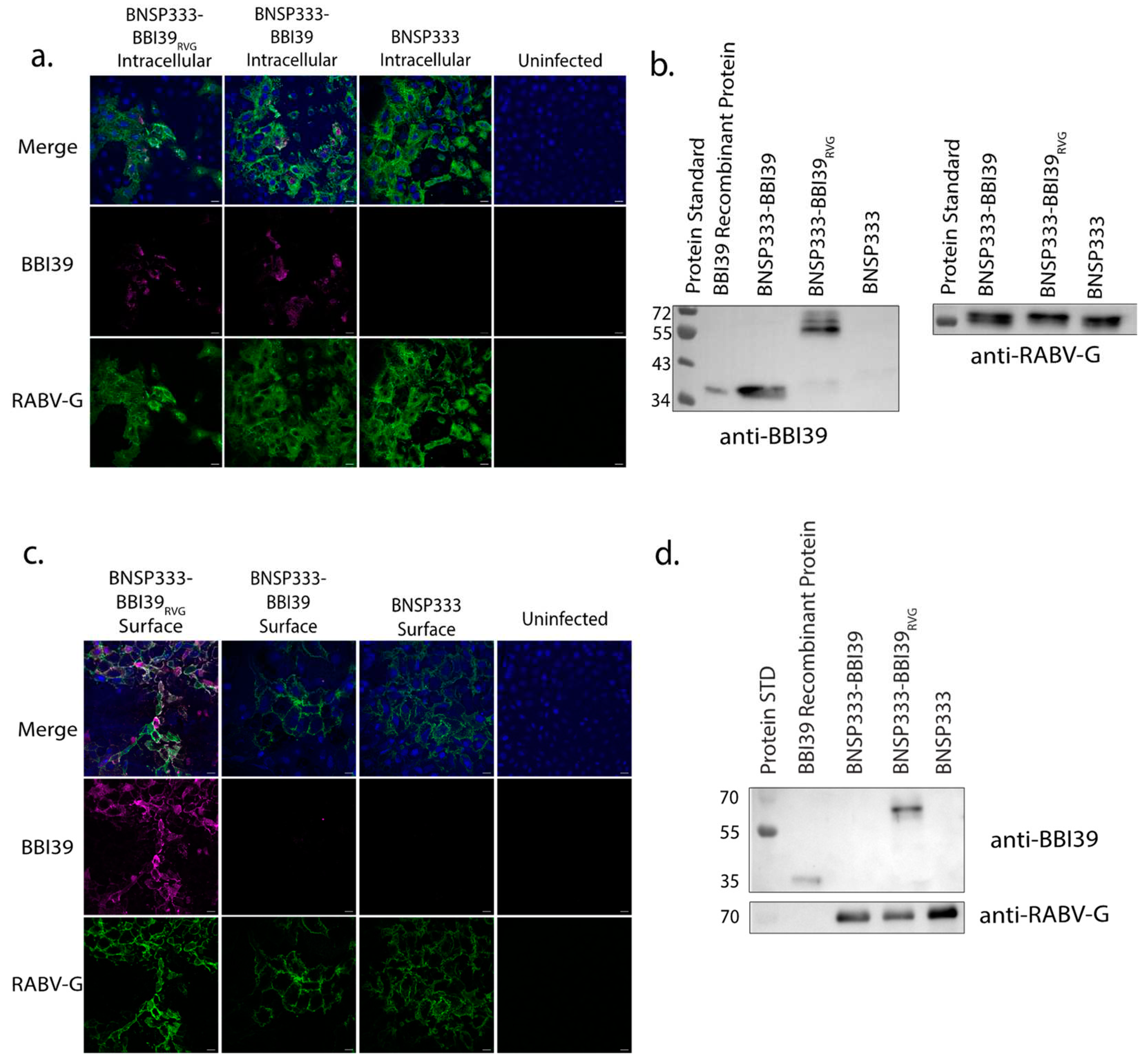 Preprints 91837 g002