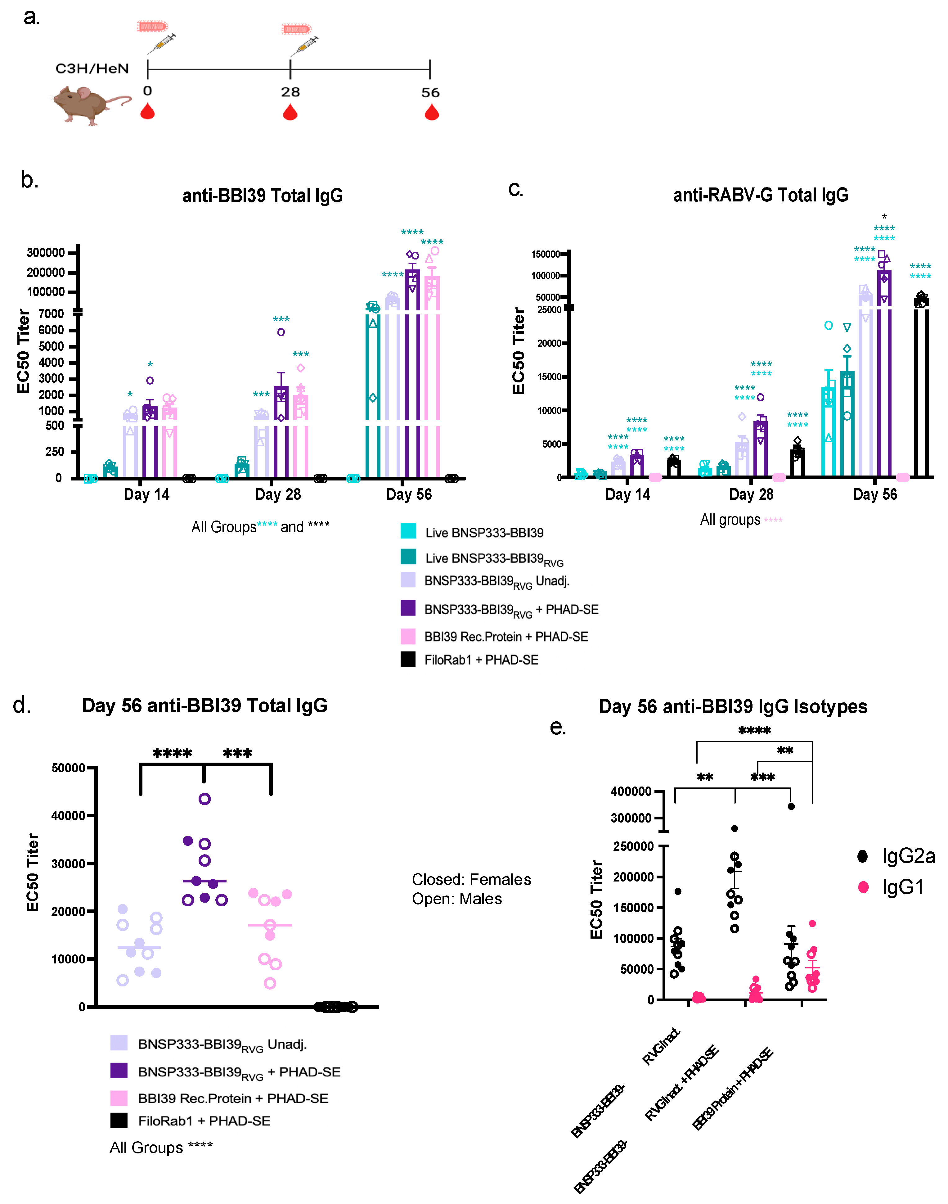 Preprints 91837 g003