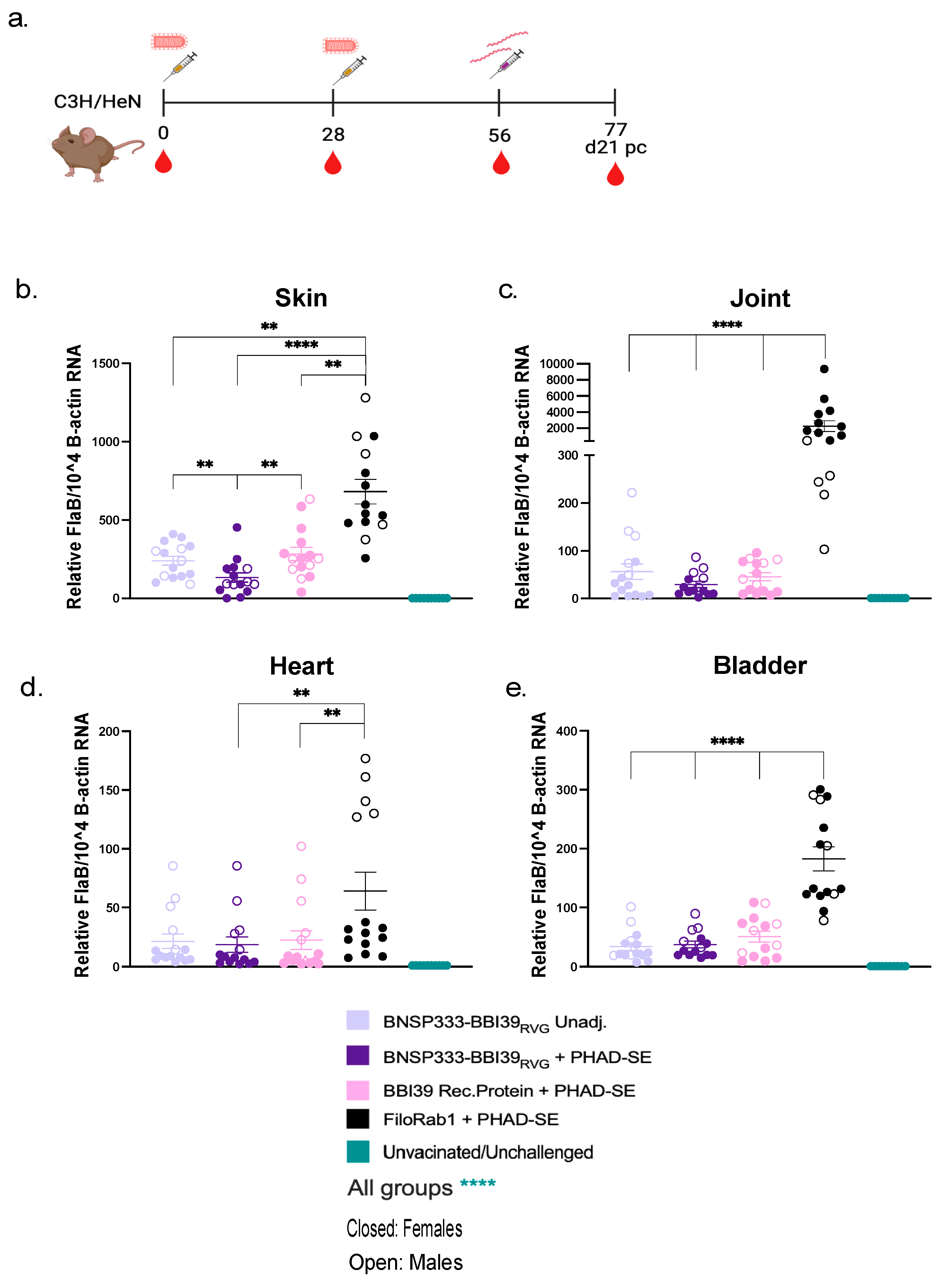 Preprints 91837 g005
