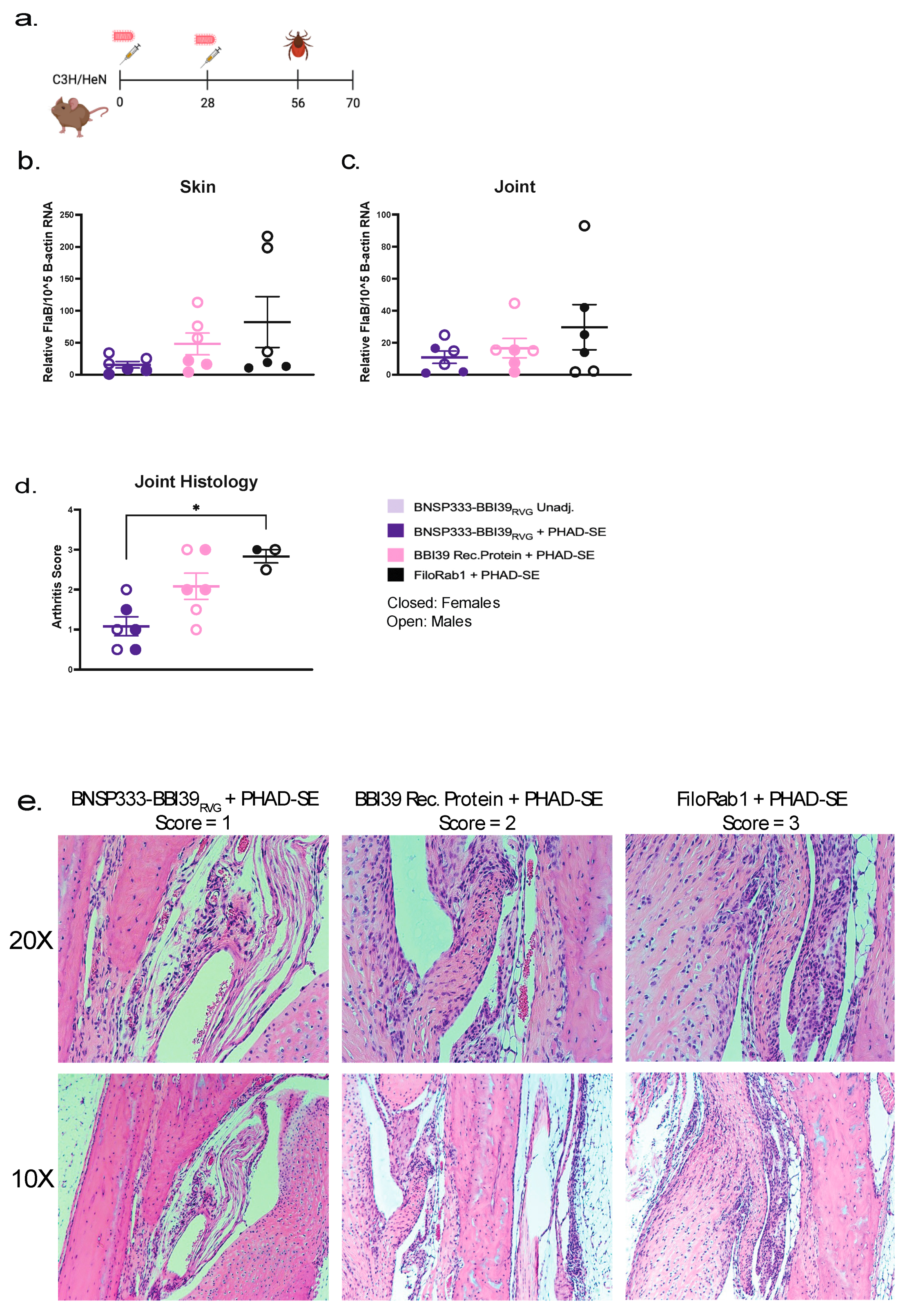 Preprints 91837 g006