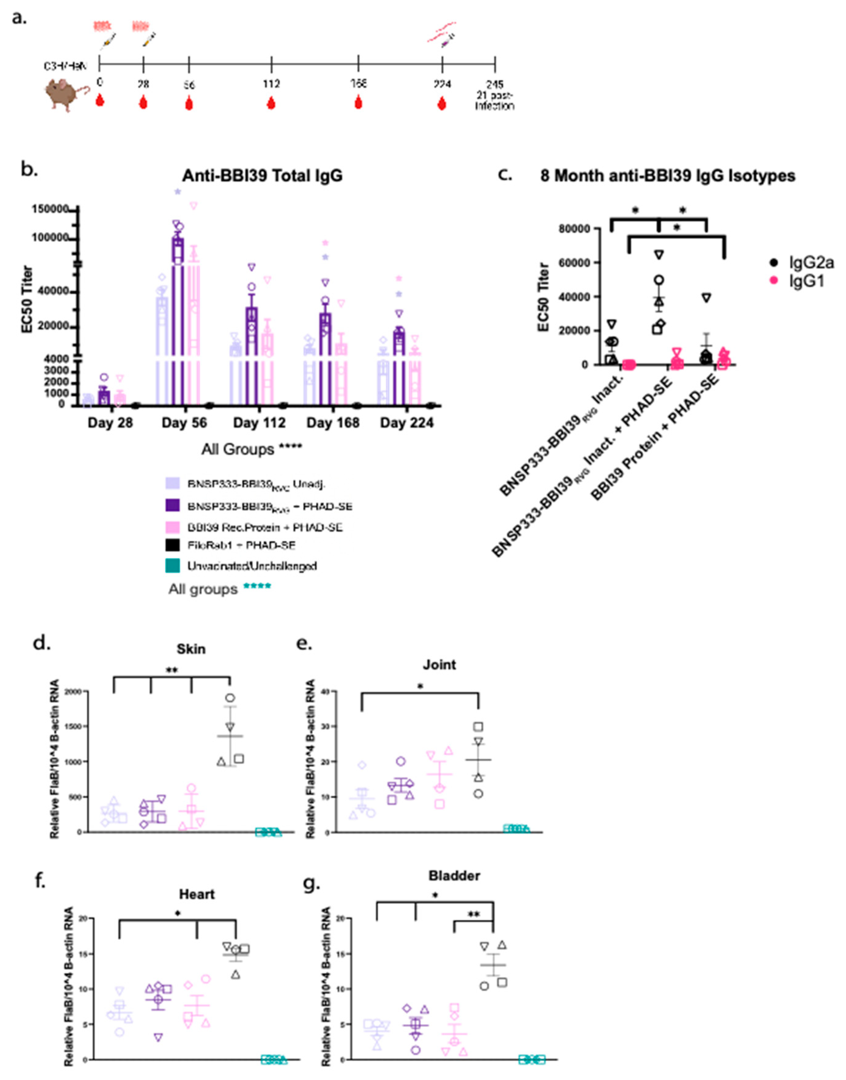 Preprints 91837 g007