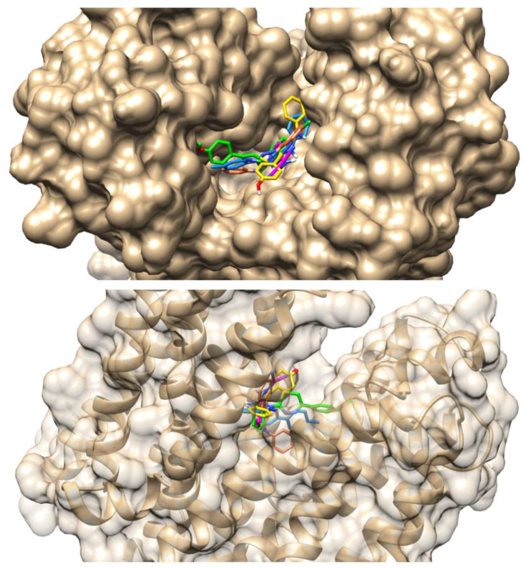 Preprints 147114 g004
