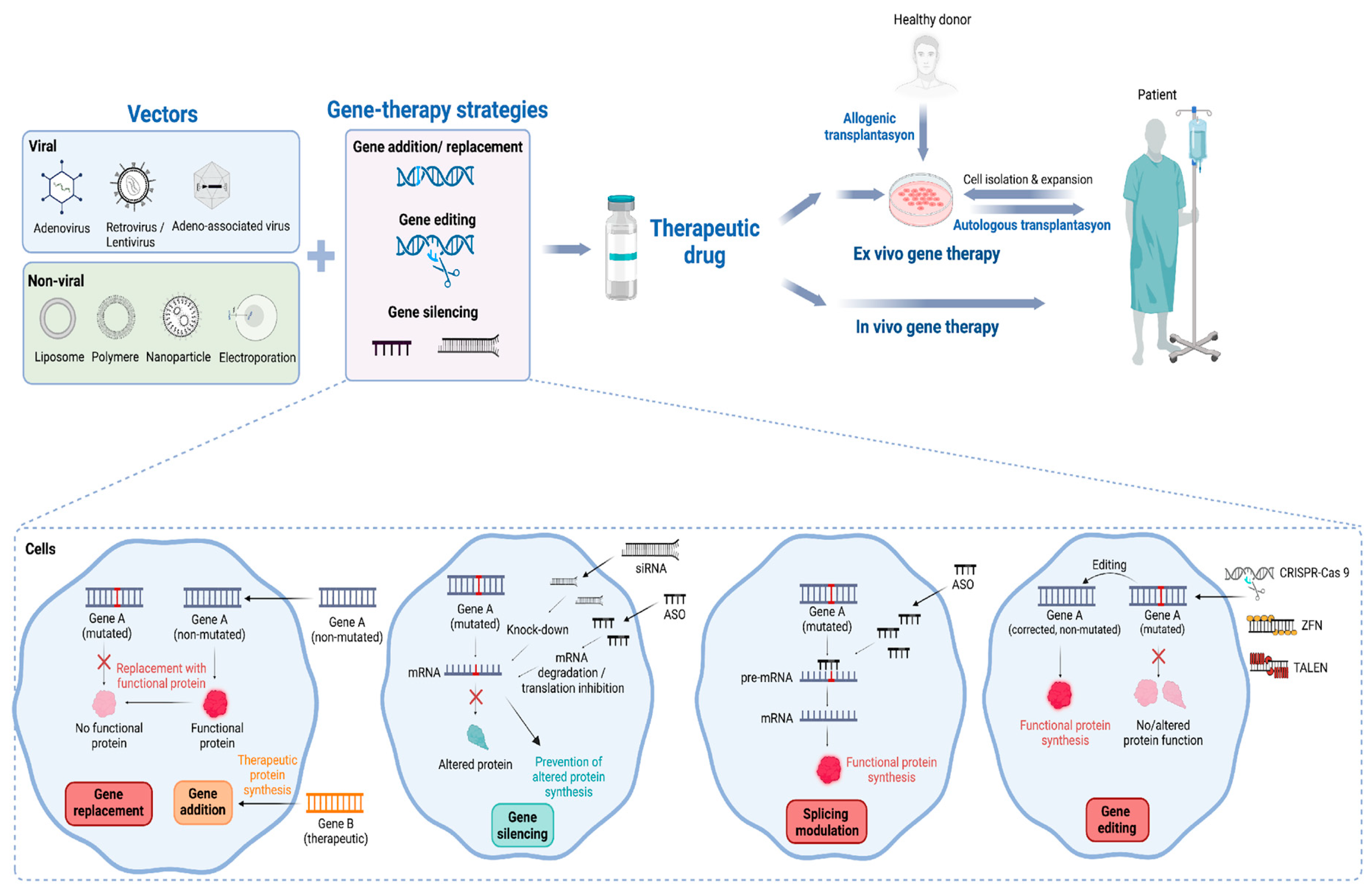 Preprints 199899 g002