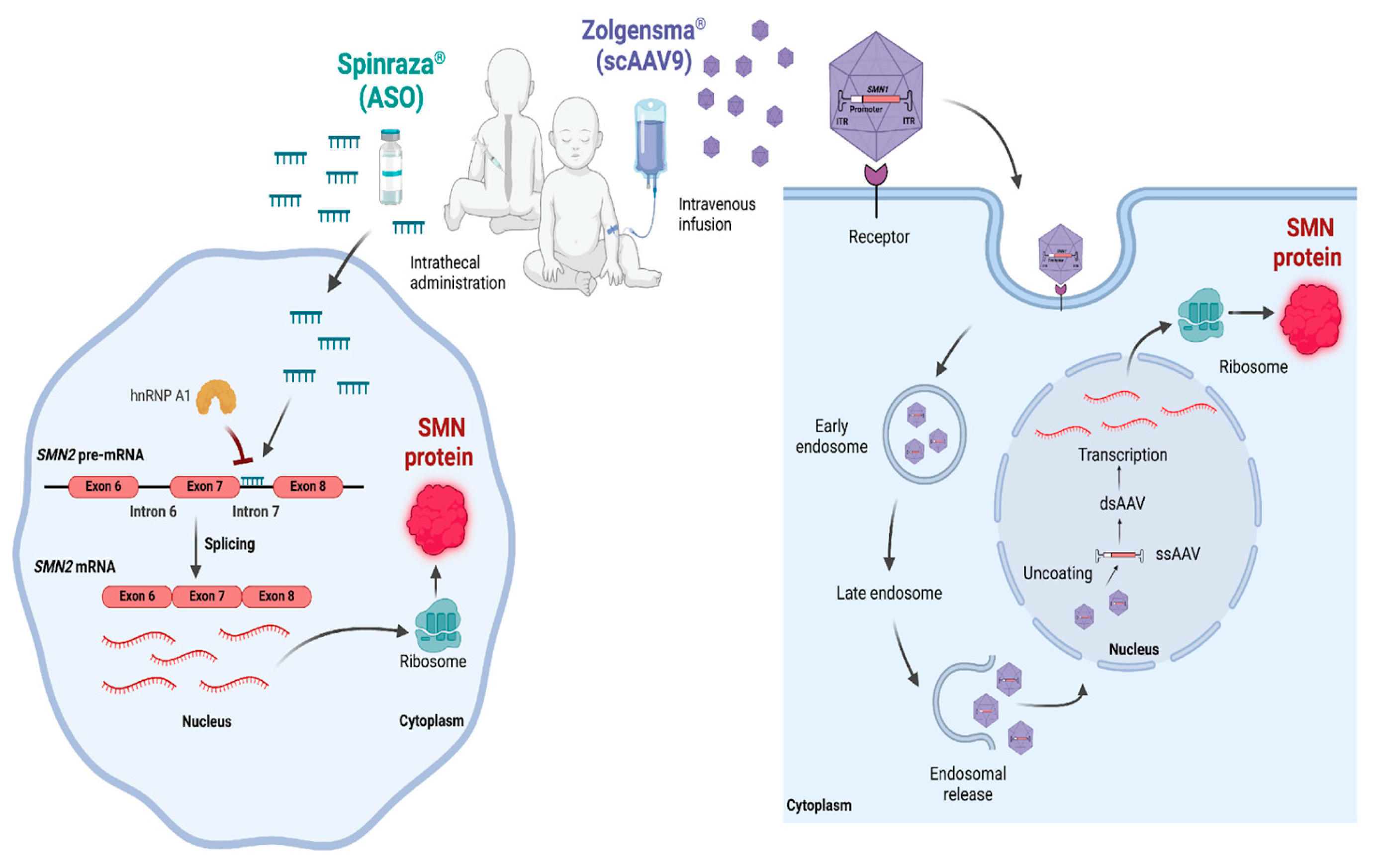 Preprints 199899 g003
