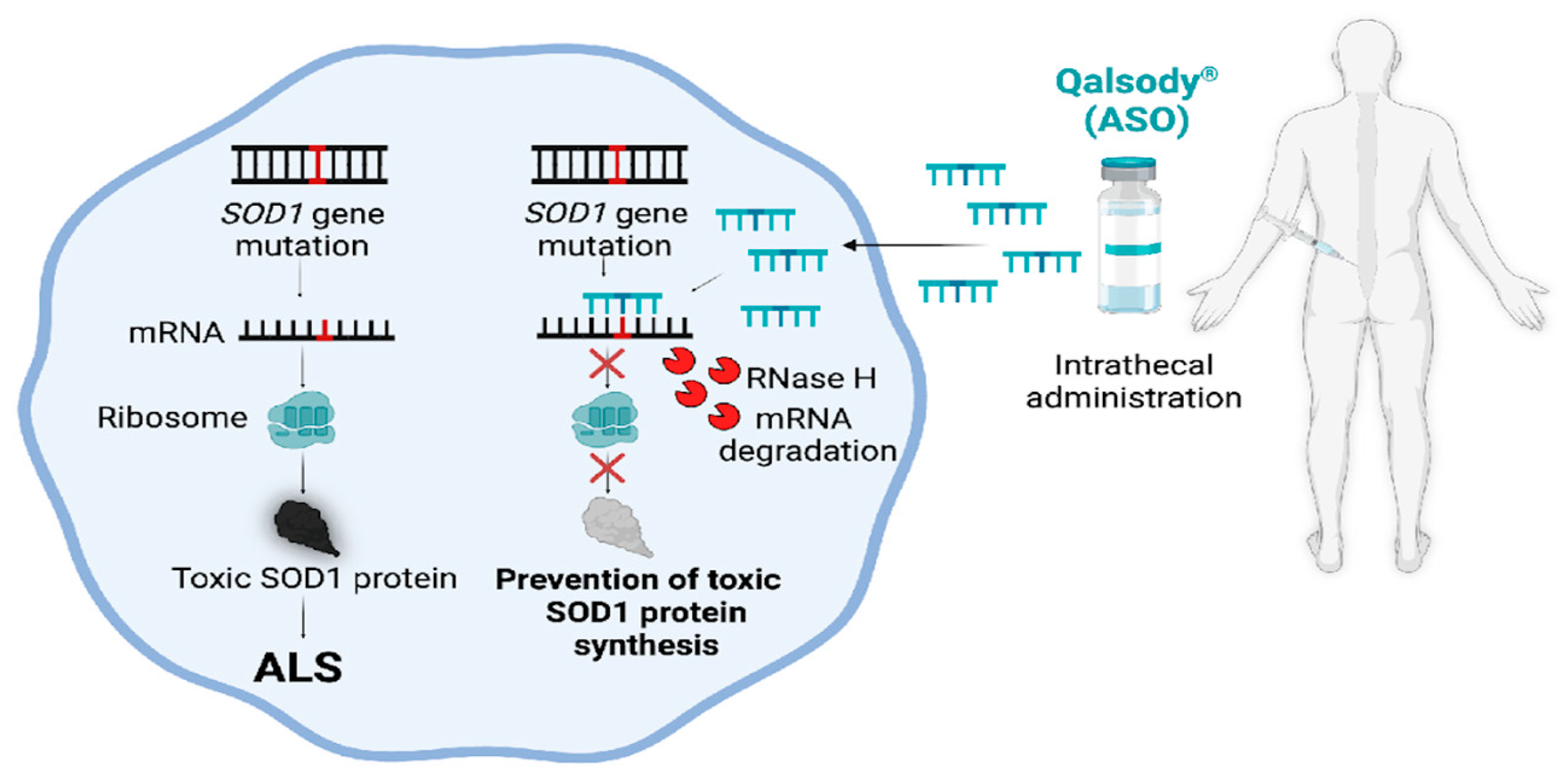 Preprints 199899 g004