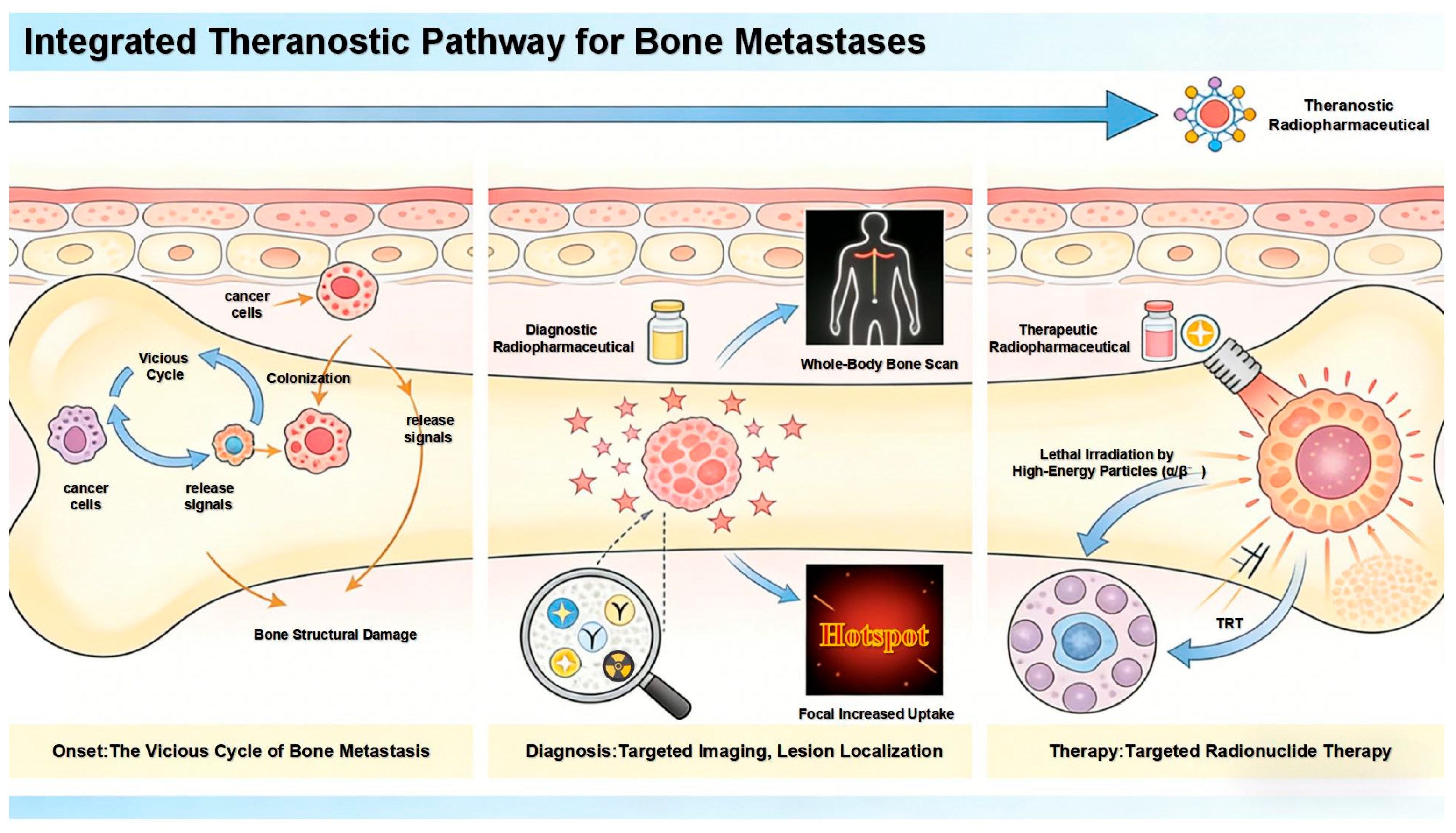 Preprints 190965 g001