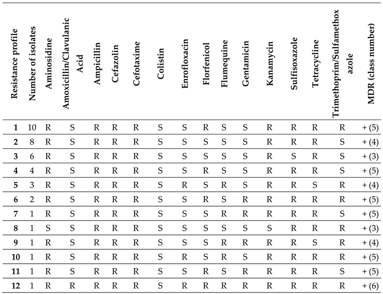 Preprints 97984 i001