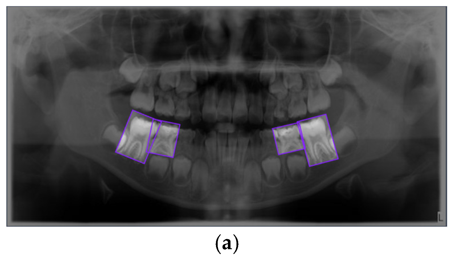 Preprints 166188 g001a