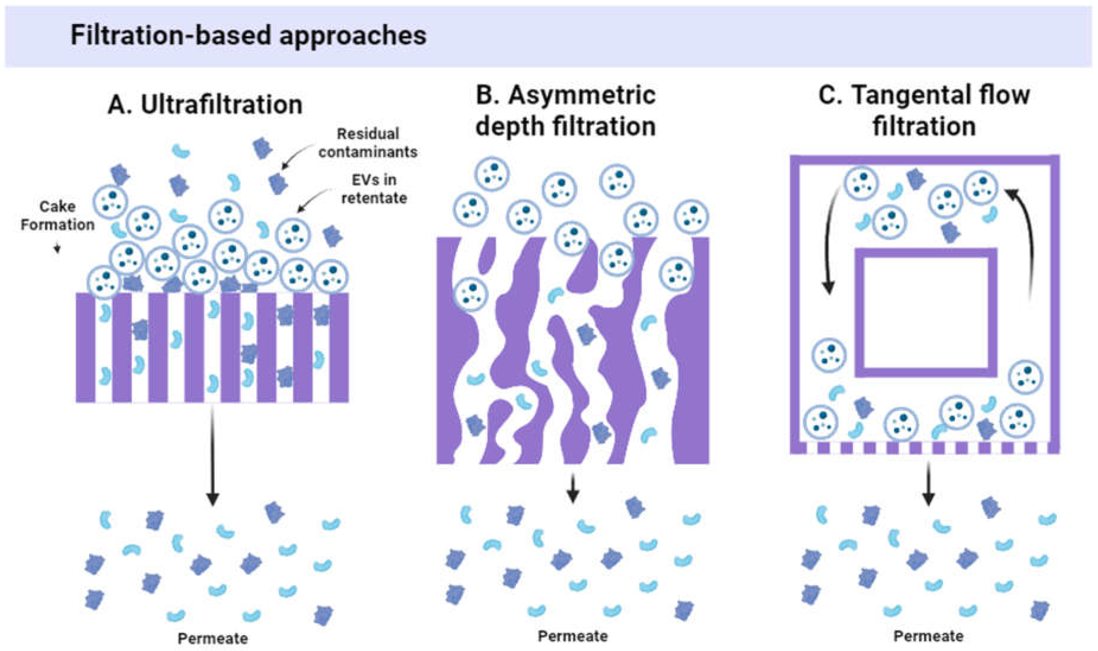 Preprints 117015 g003