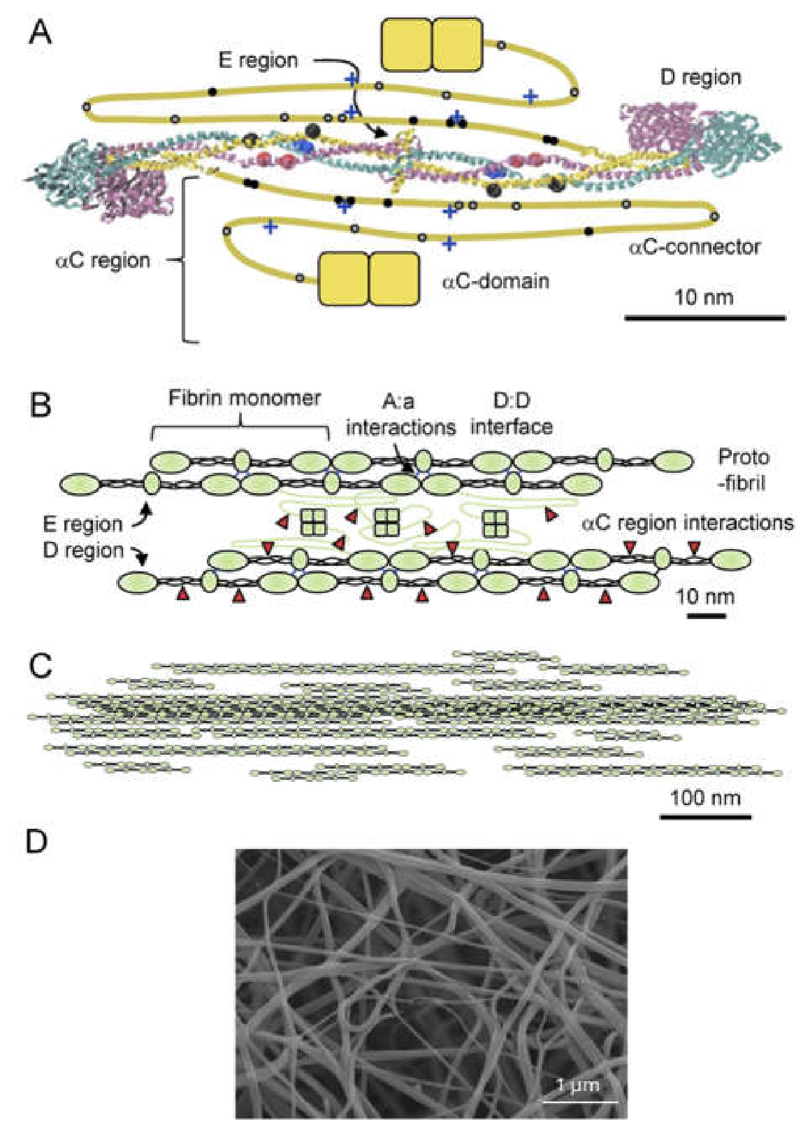 Preprints 231771 g001 Preprints 231771 g001