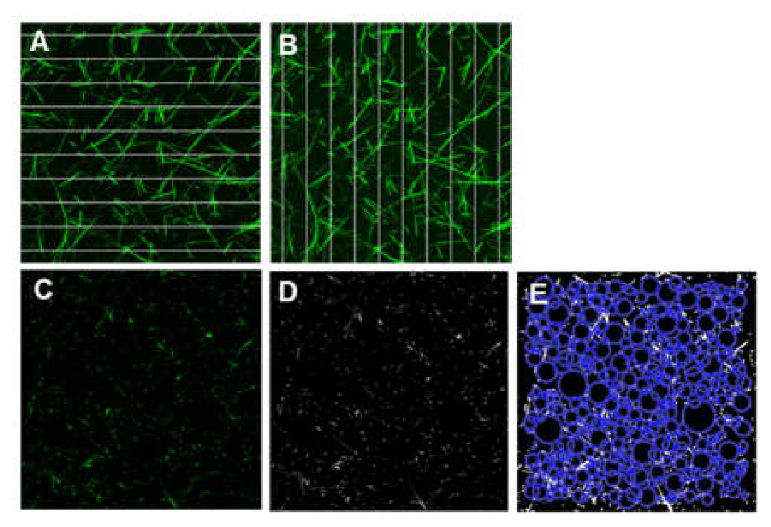 Preprints 231771 g002 Preprints 231771 g002