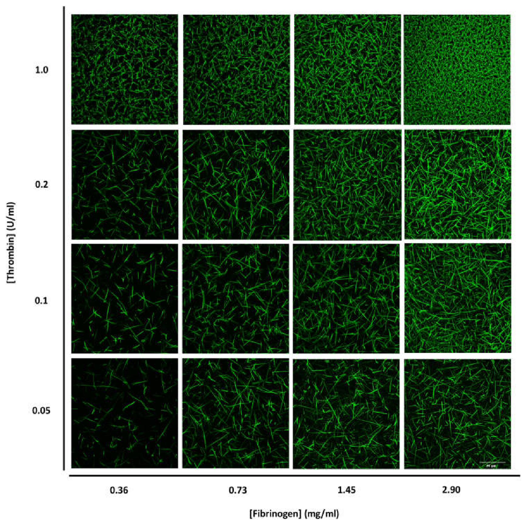 Preprints 231771 g003 Preprints 231771 g003