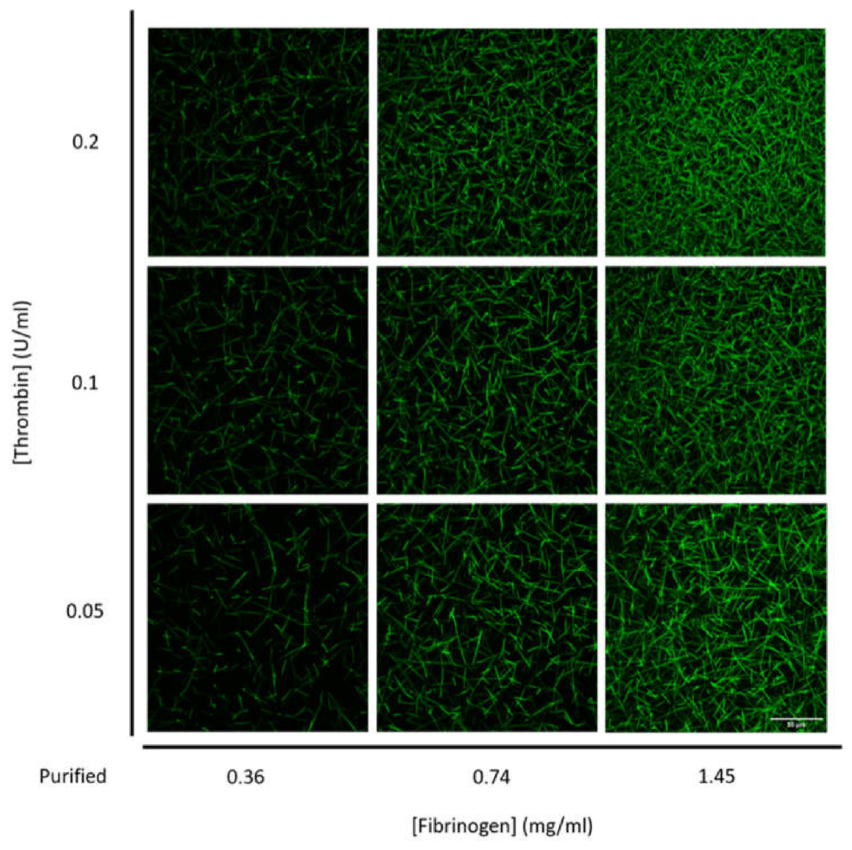 Preprints 231771 g004 Preprints 231771 g004