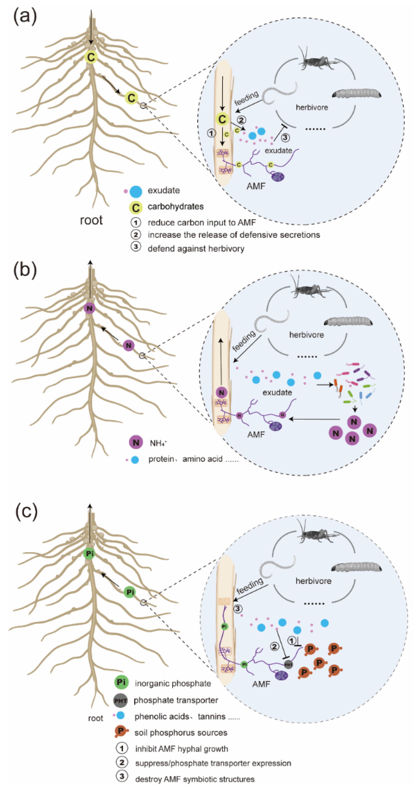 Preprints 184387 g001