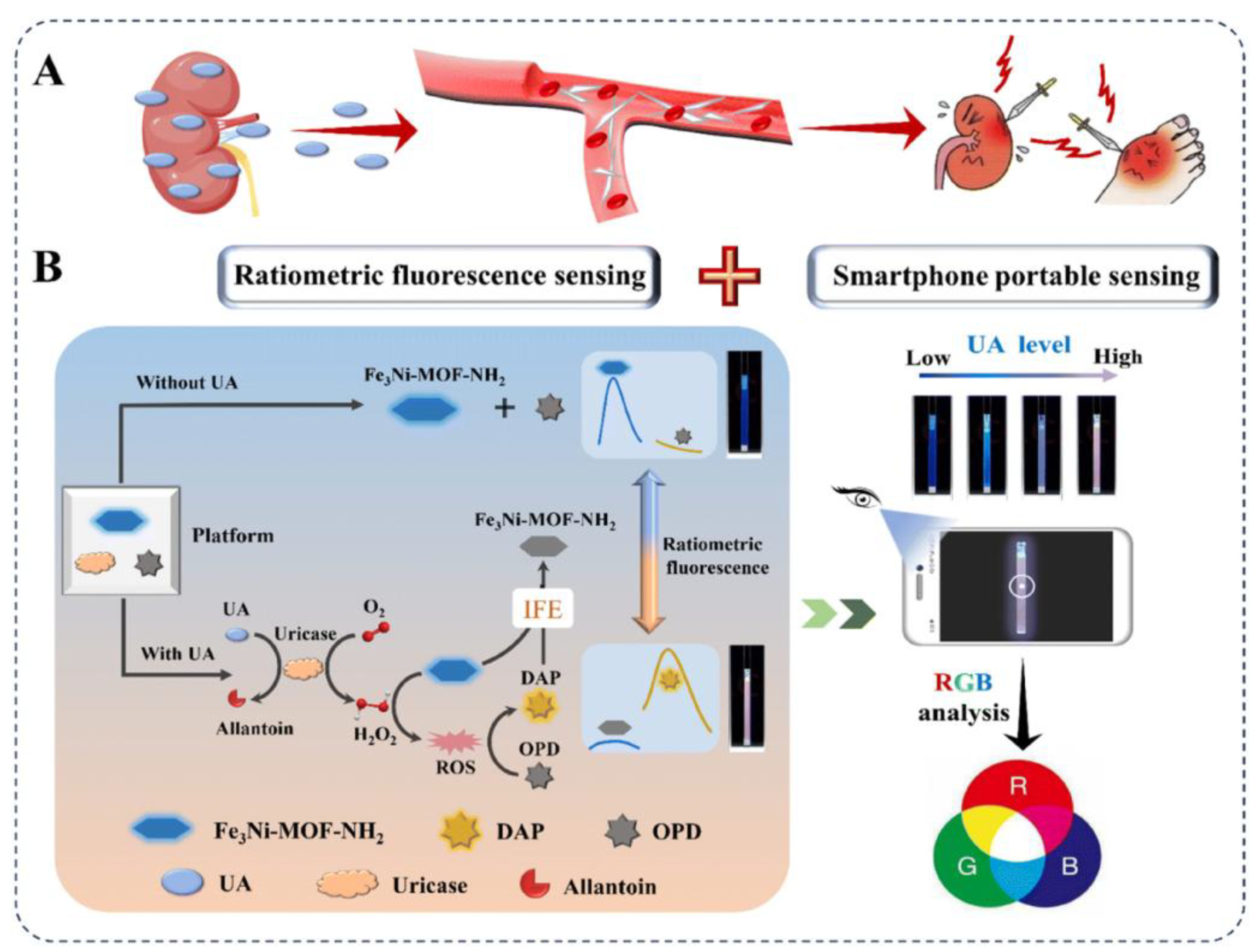 Preprints 158465 g004