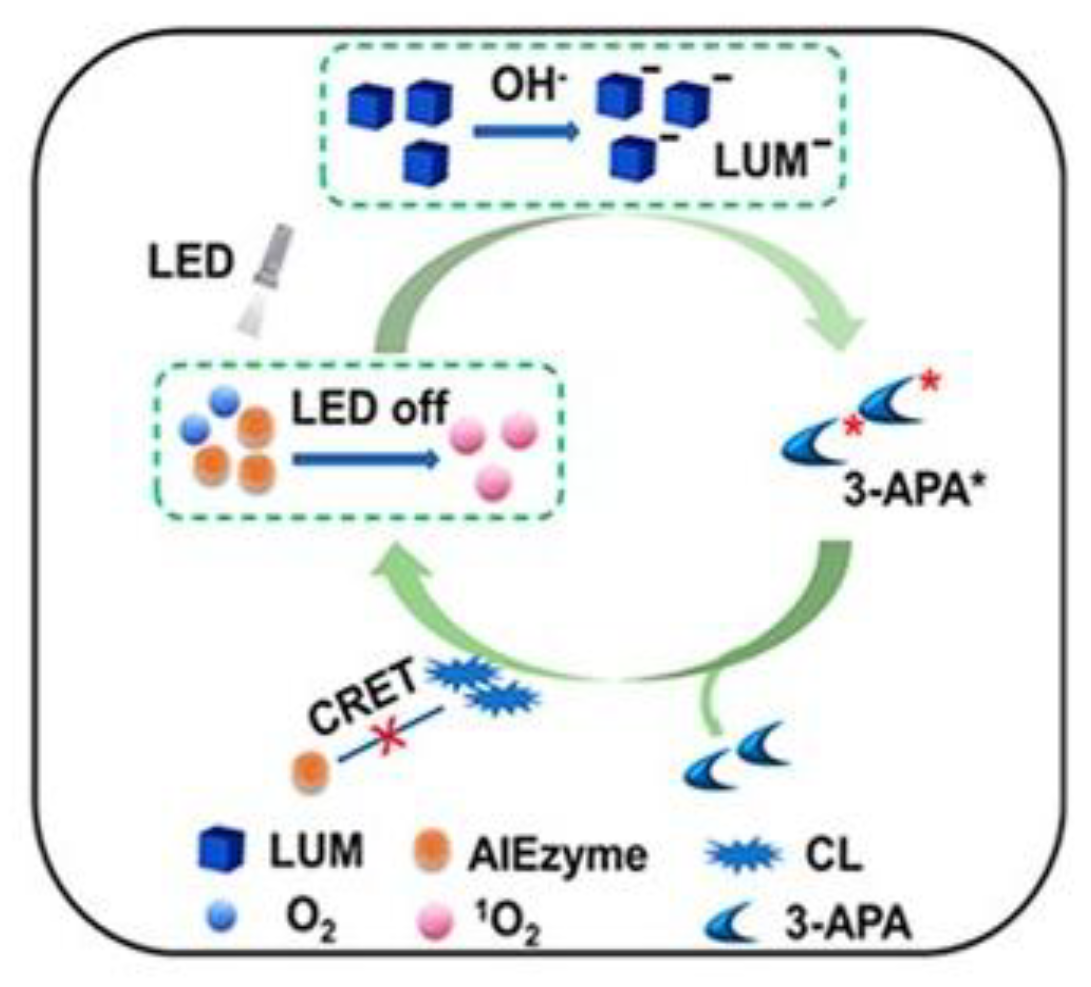Preprints 158465 g006