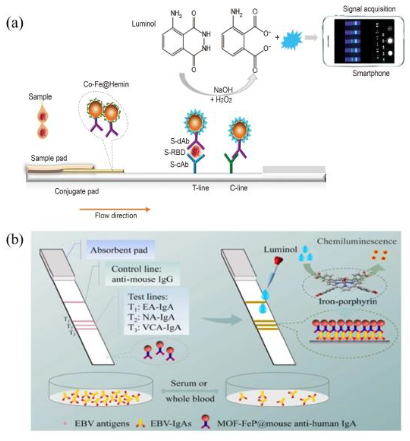Preprints 158465 g007