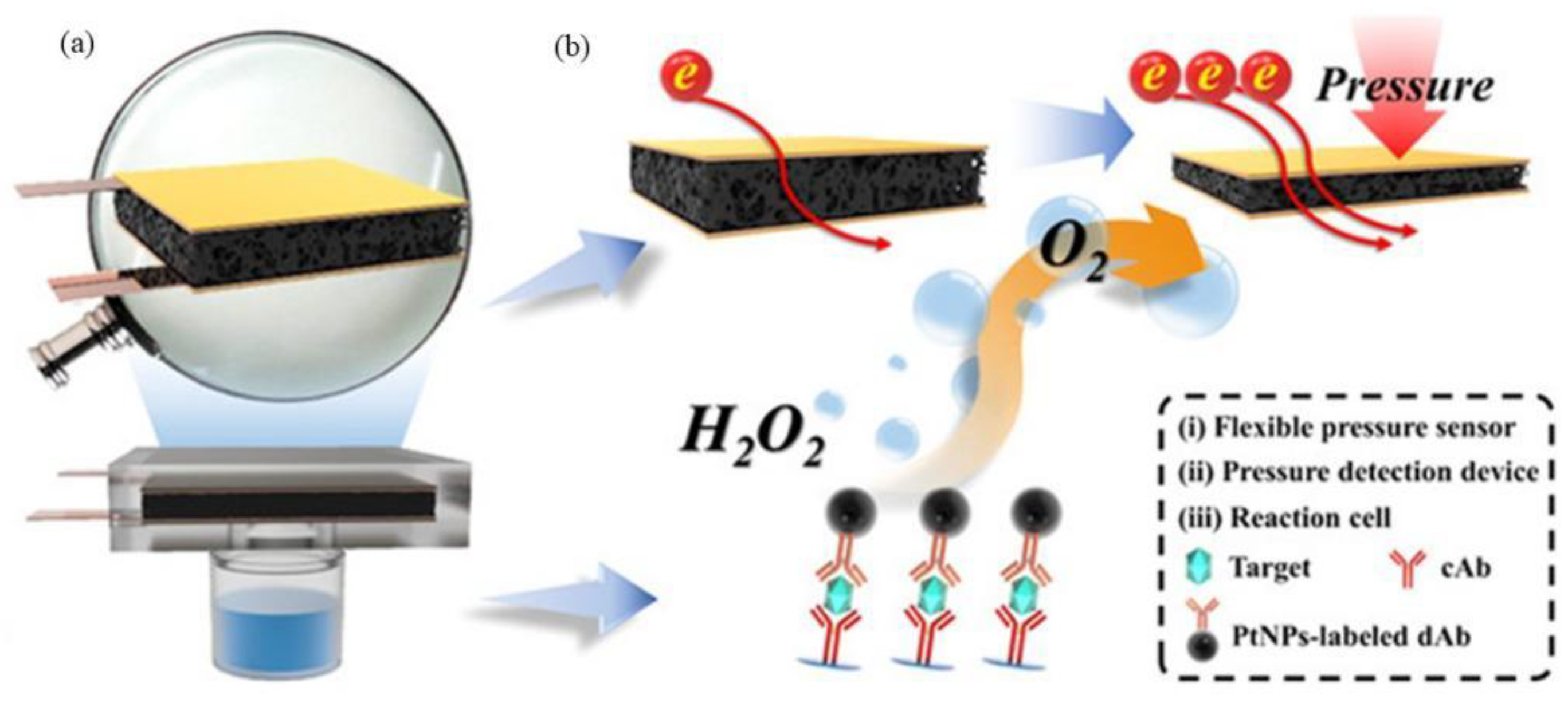 Preprints 158465 g008