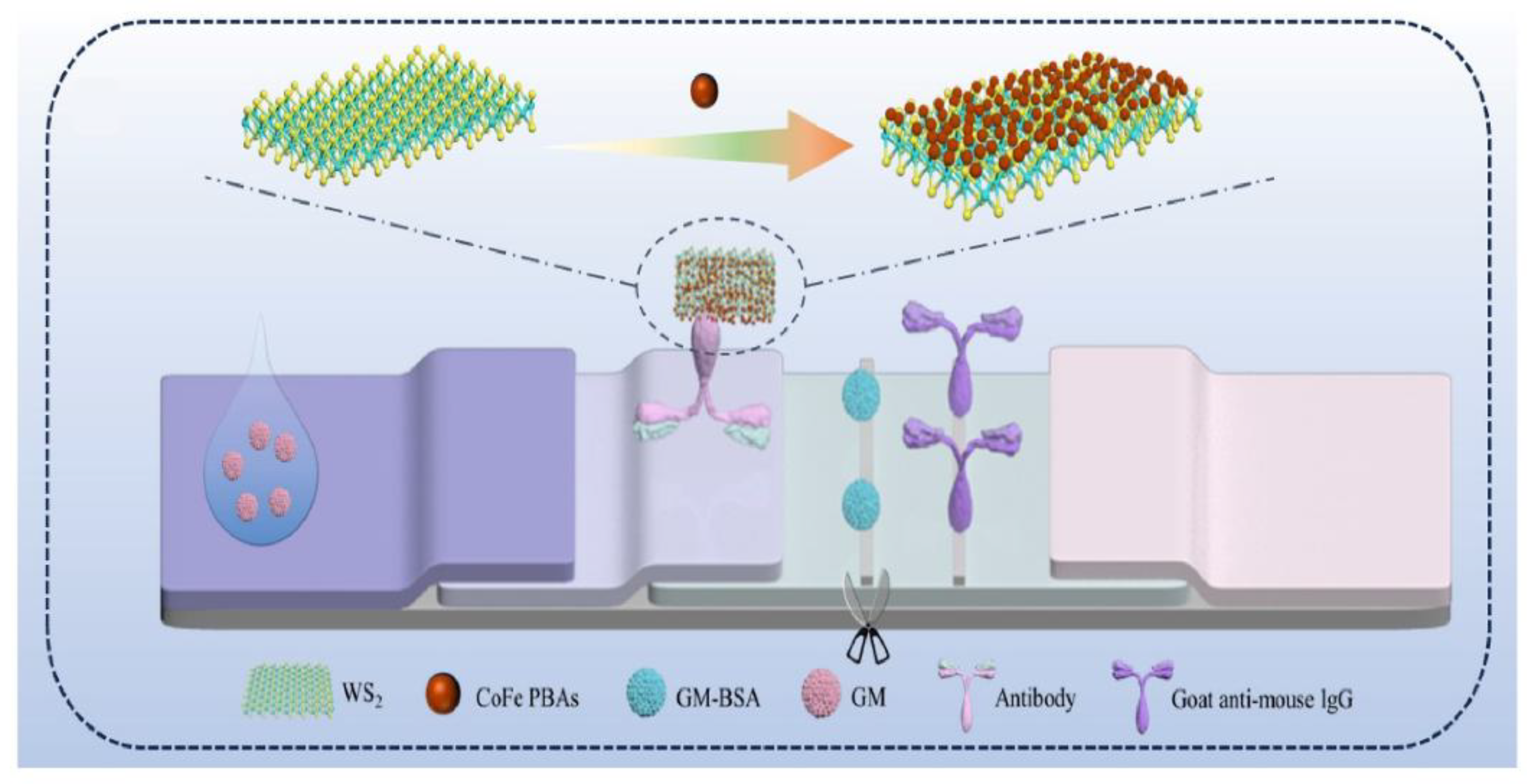 Preprints 158465 g009