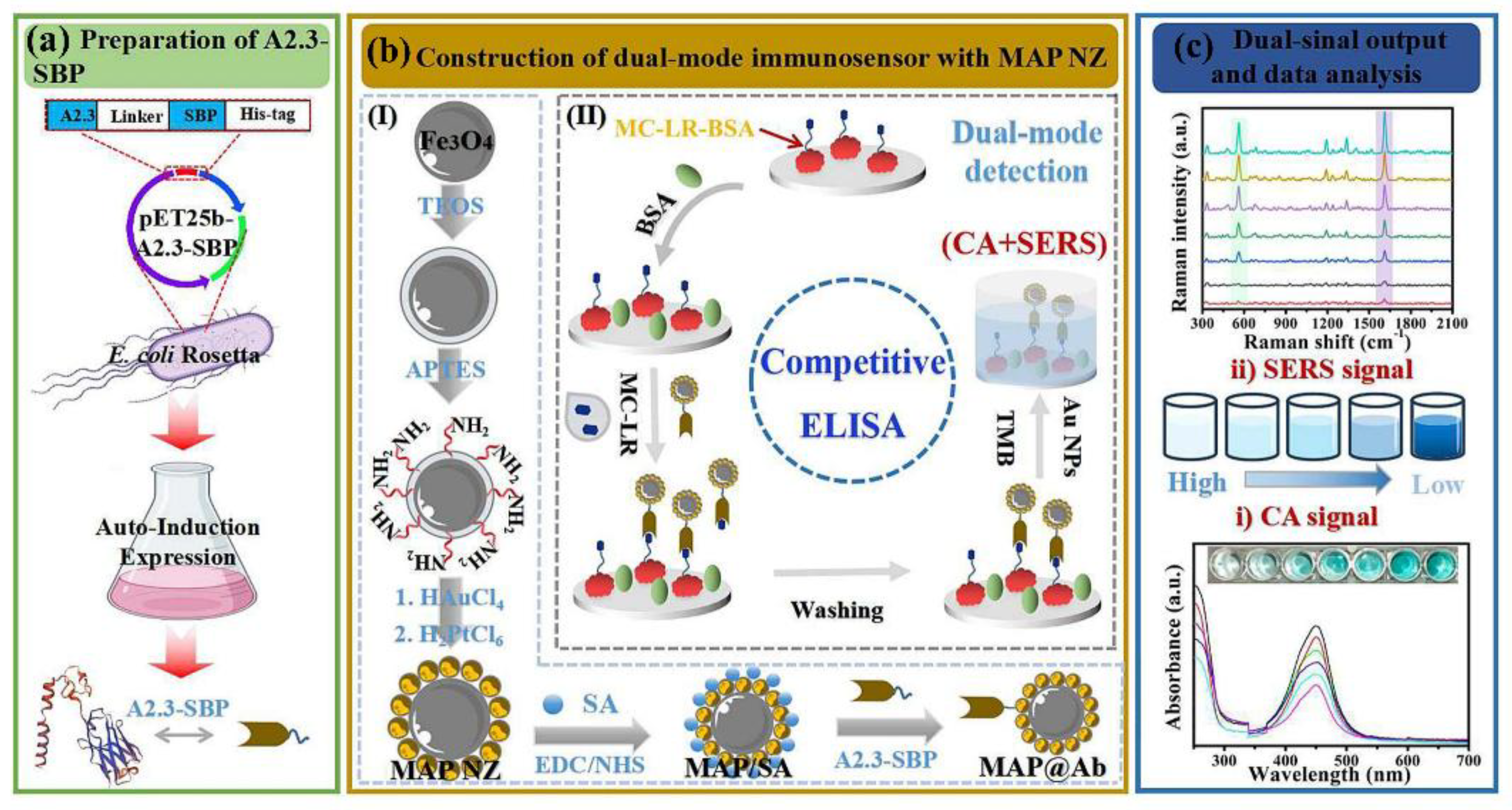 Preprints 158465 g010
