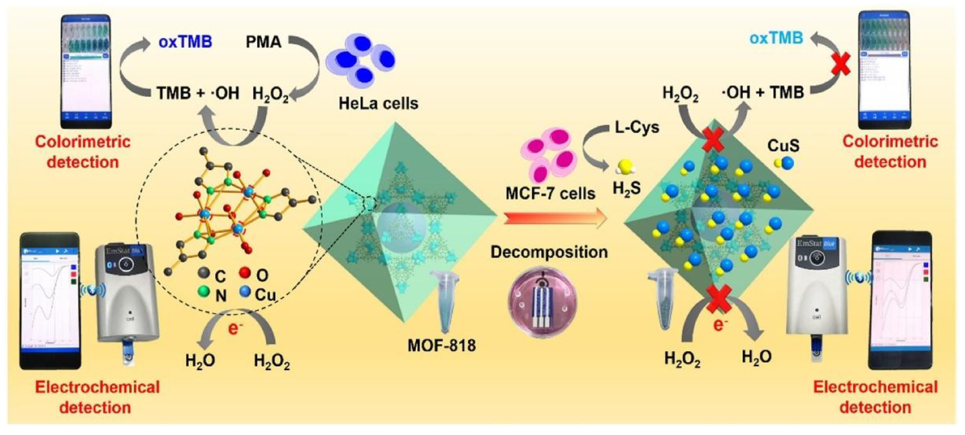 Preprints 158465 g011