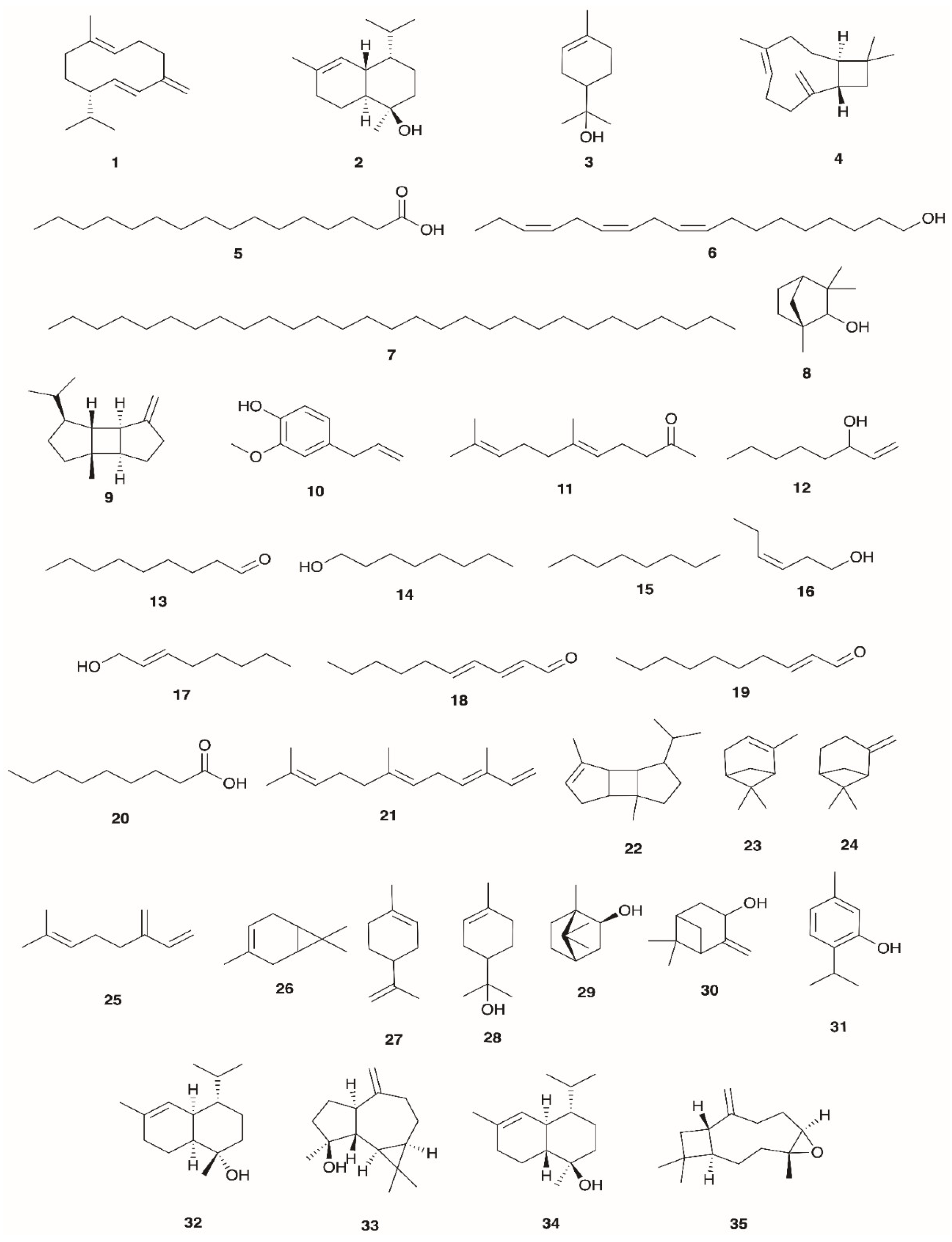 Preprints 161546 g002