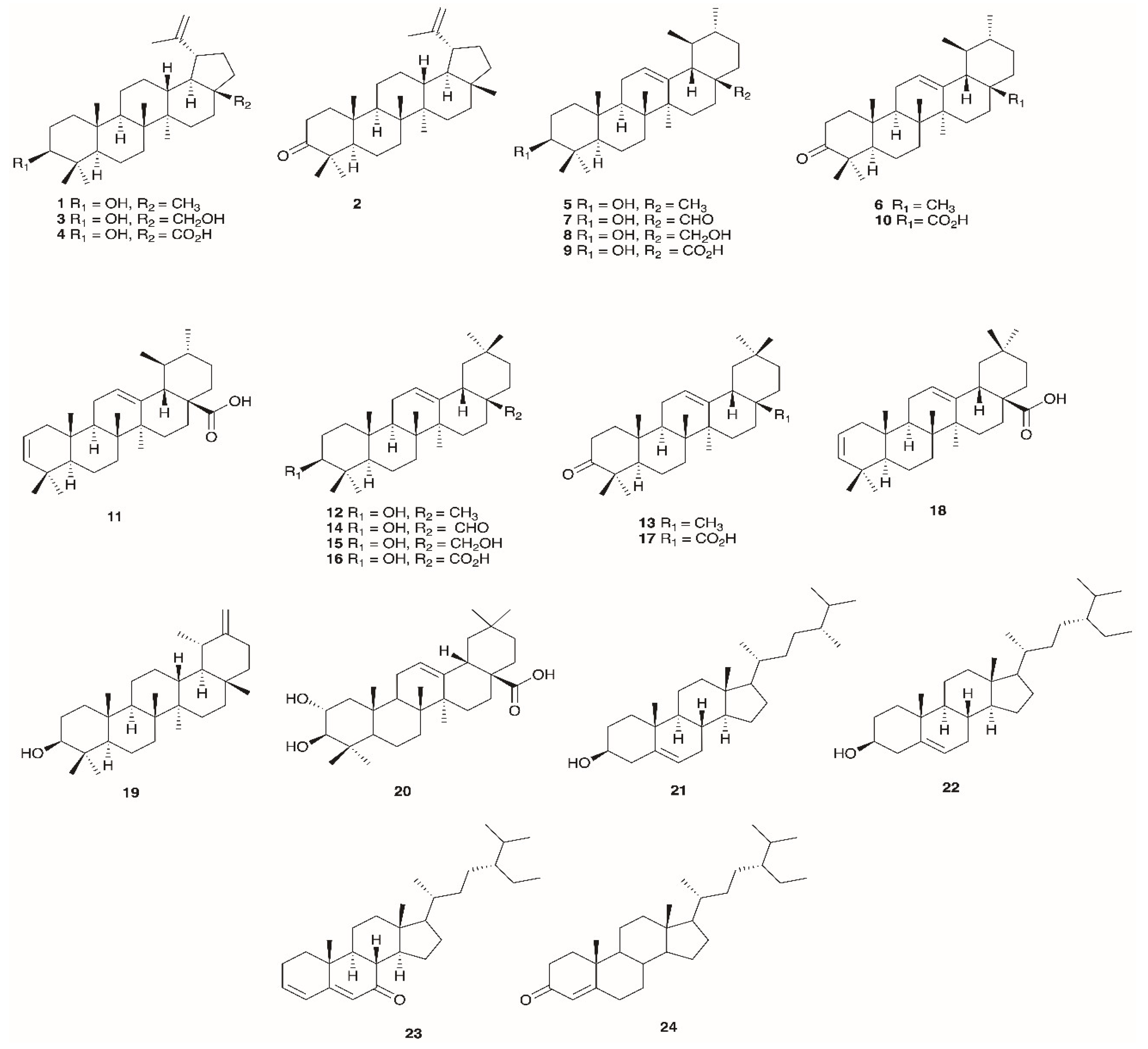 Preprints 161546 g003a