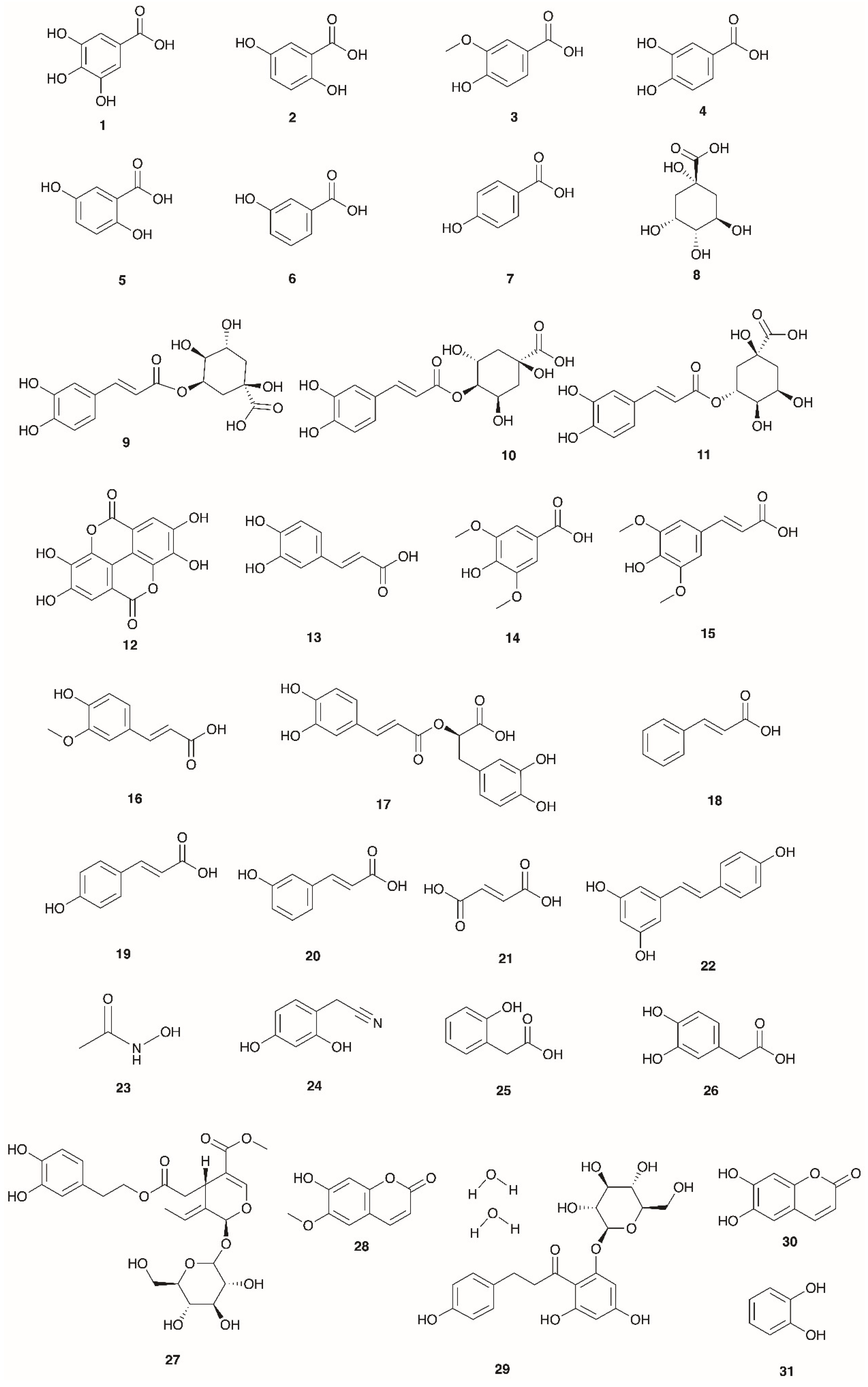 Preprints 161546 g003b