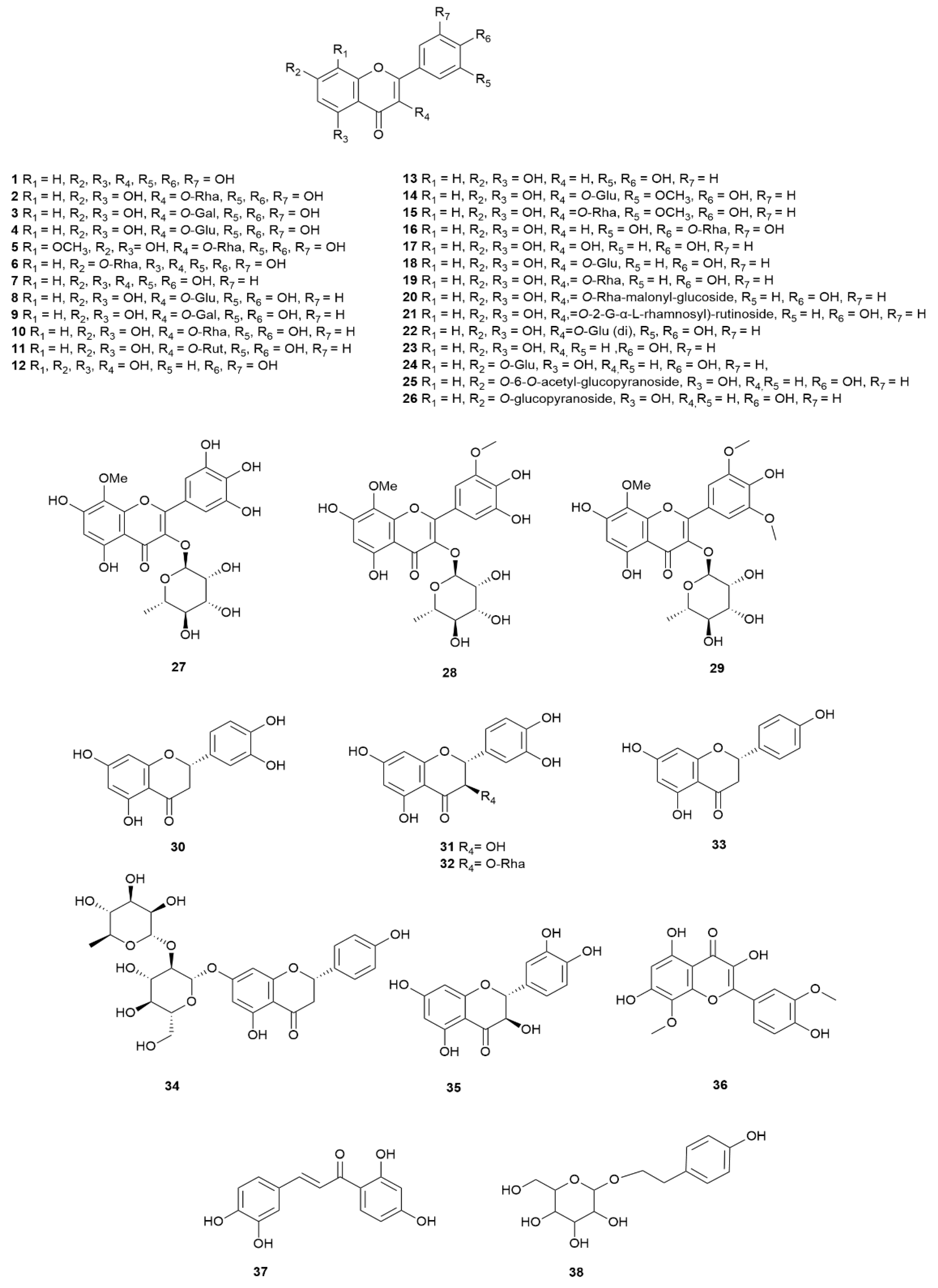 Preprints 161546 g005