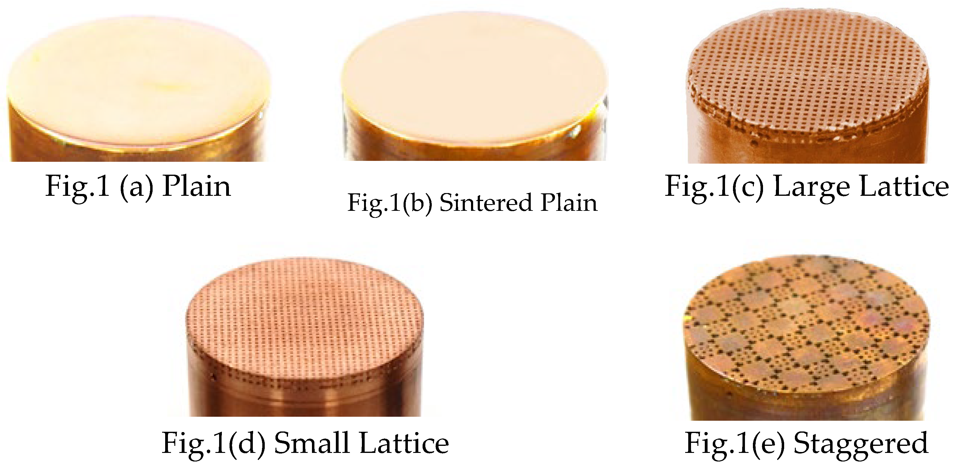 Preprints 159748 g001