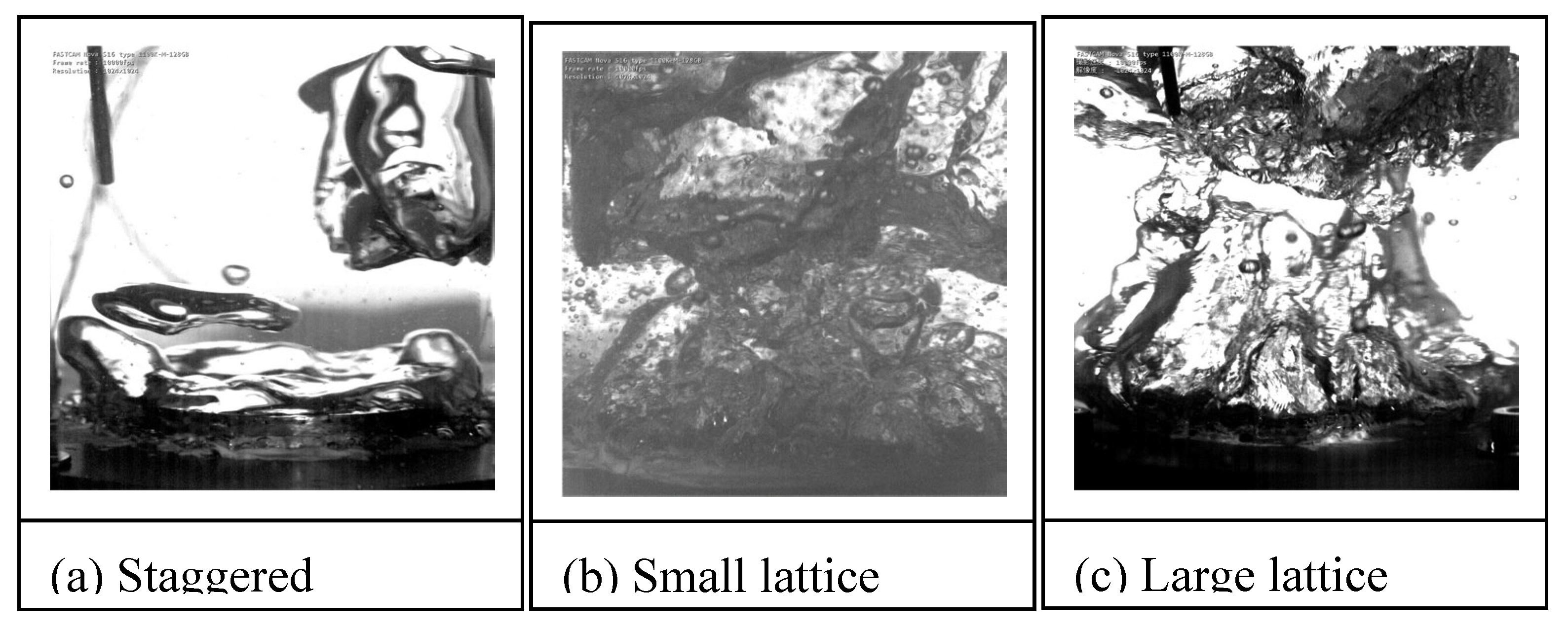 Preprints 159748 g015