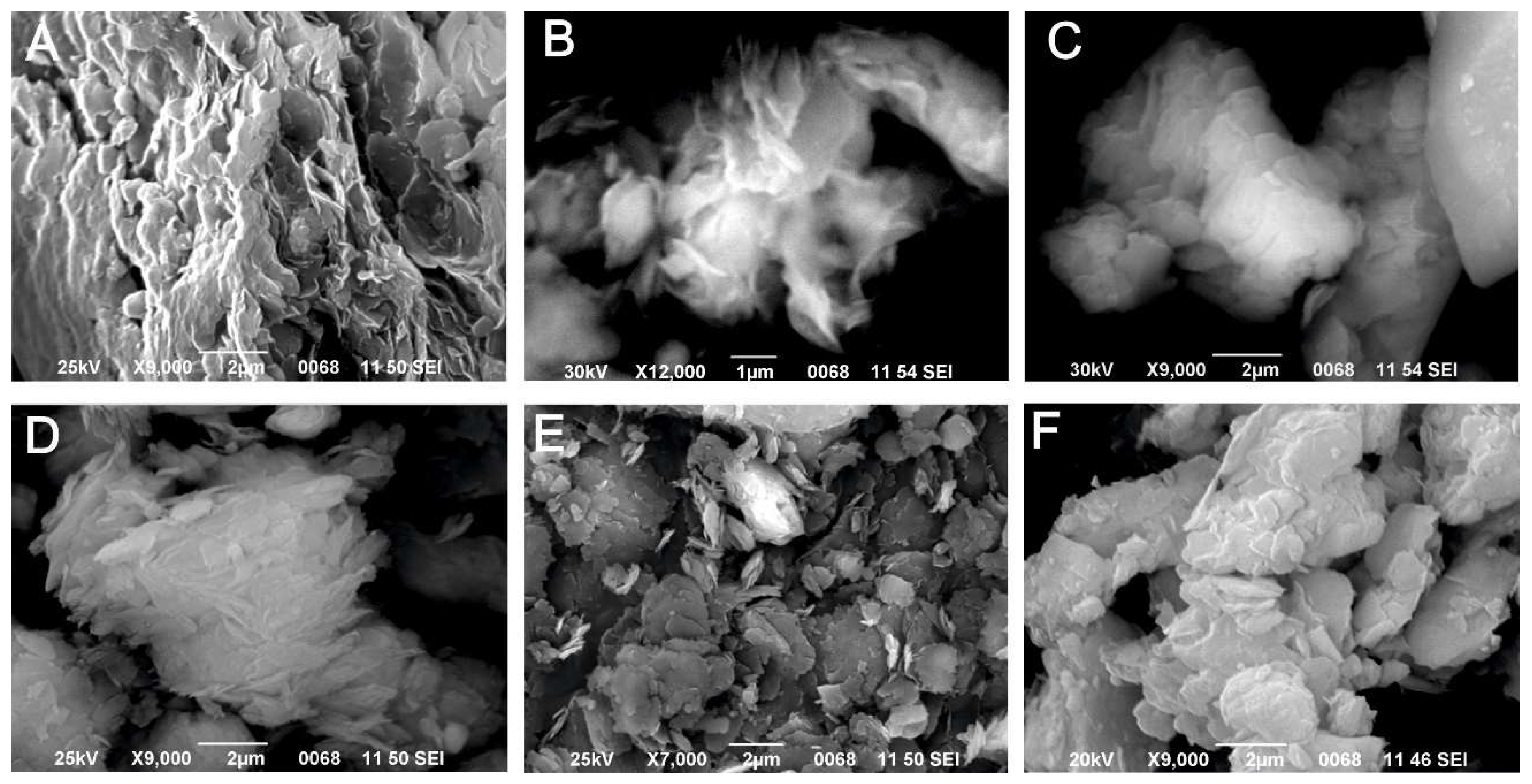 Preprints 150039 g006