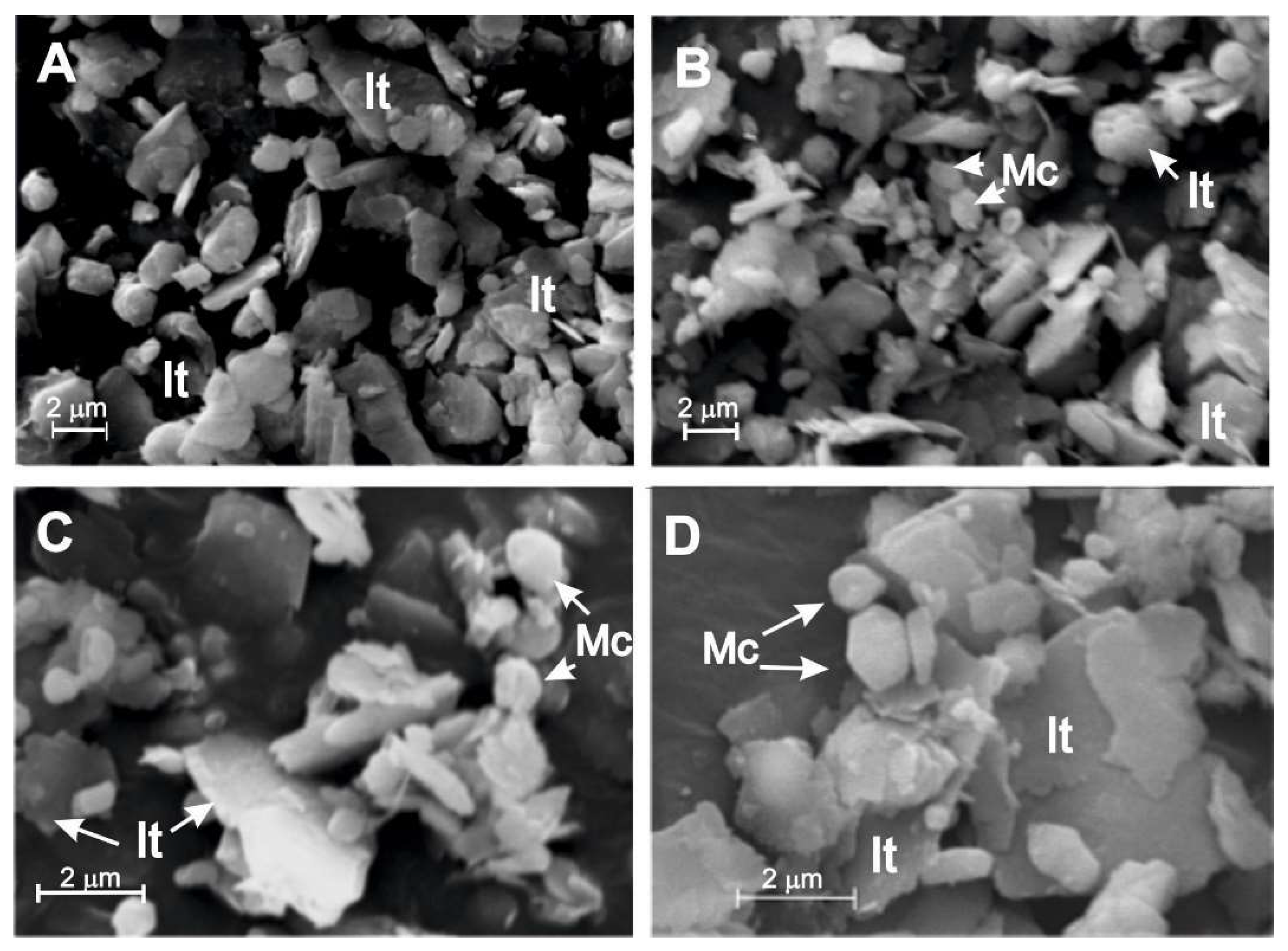 Preprints 150039 g012