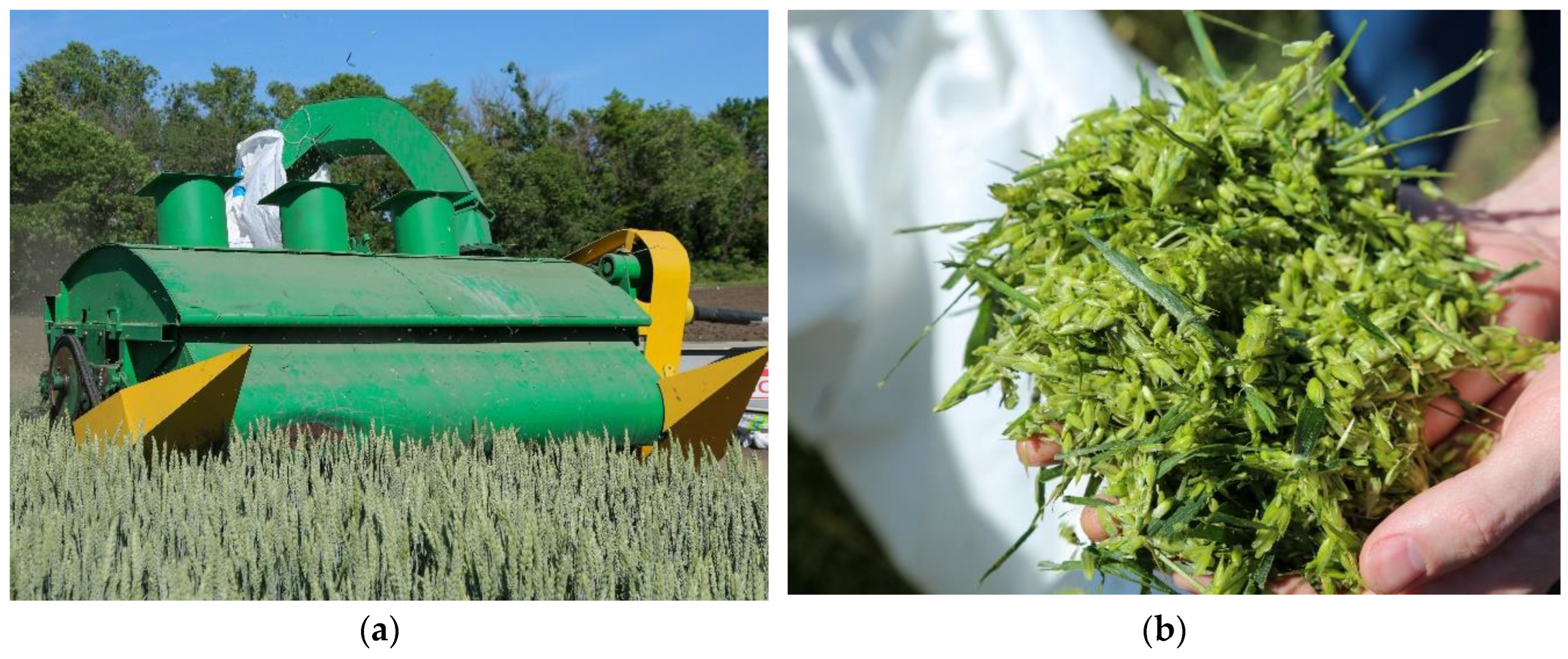 Preprints 146138 g001